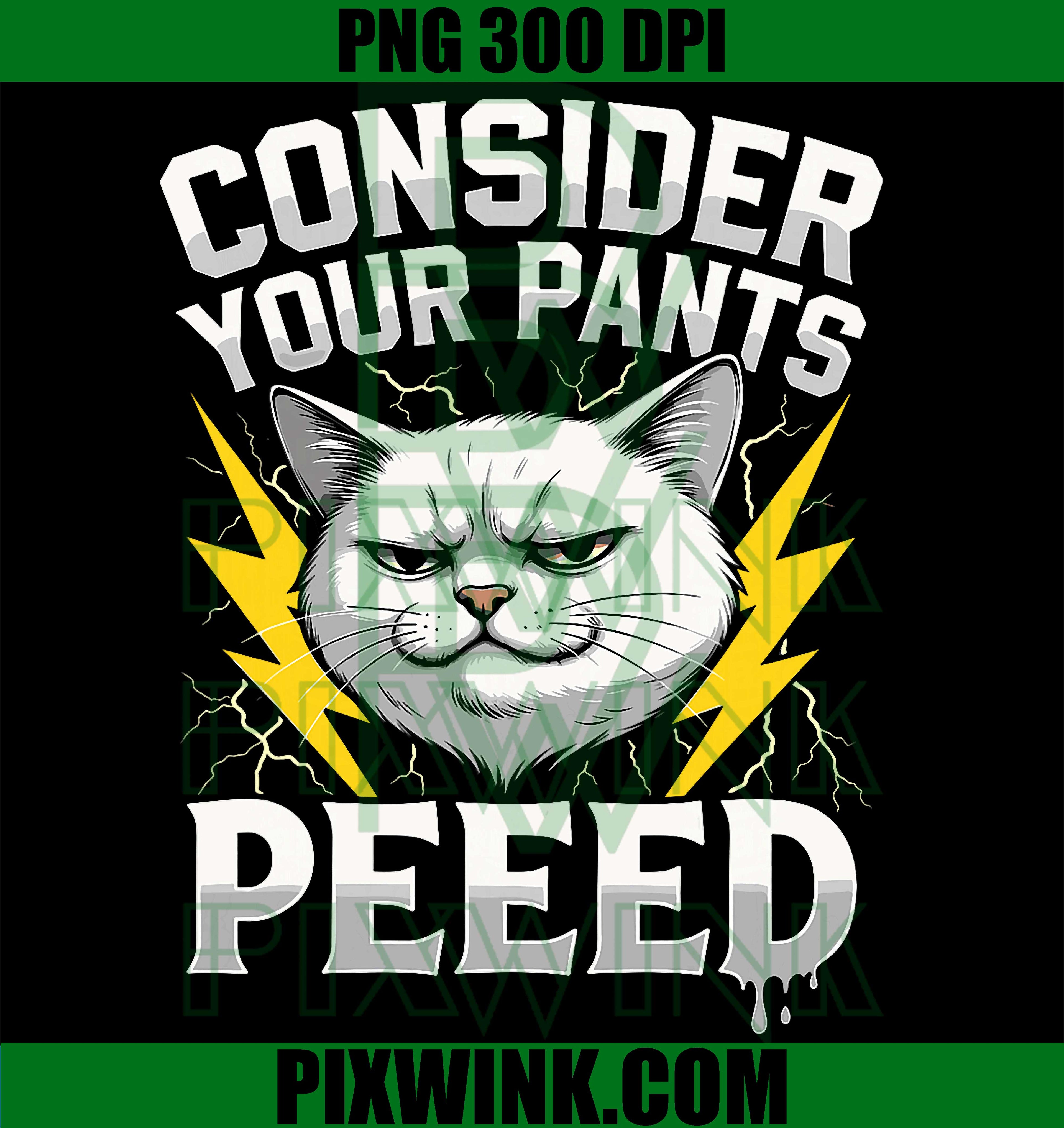 Consider Your Pants Peed PNG, Funny Cat Meme Brainrot Y2K PNG