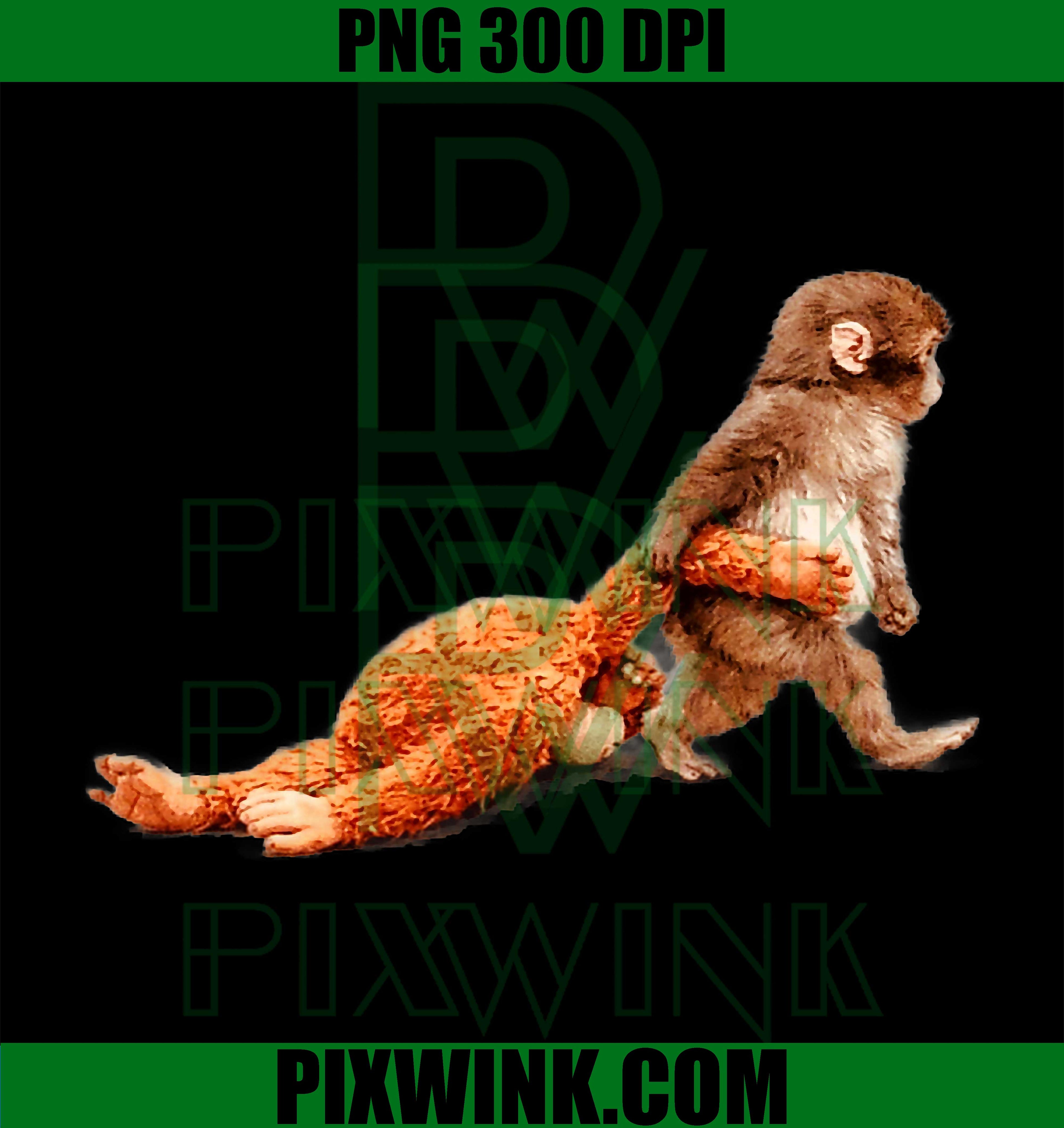 Baby Monkey Punch With Stuffed Buddy PNG, Cute Monkey Graphic PNG
