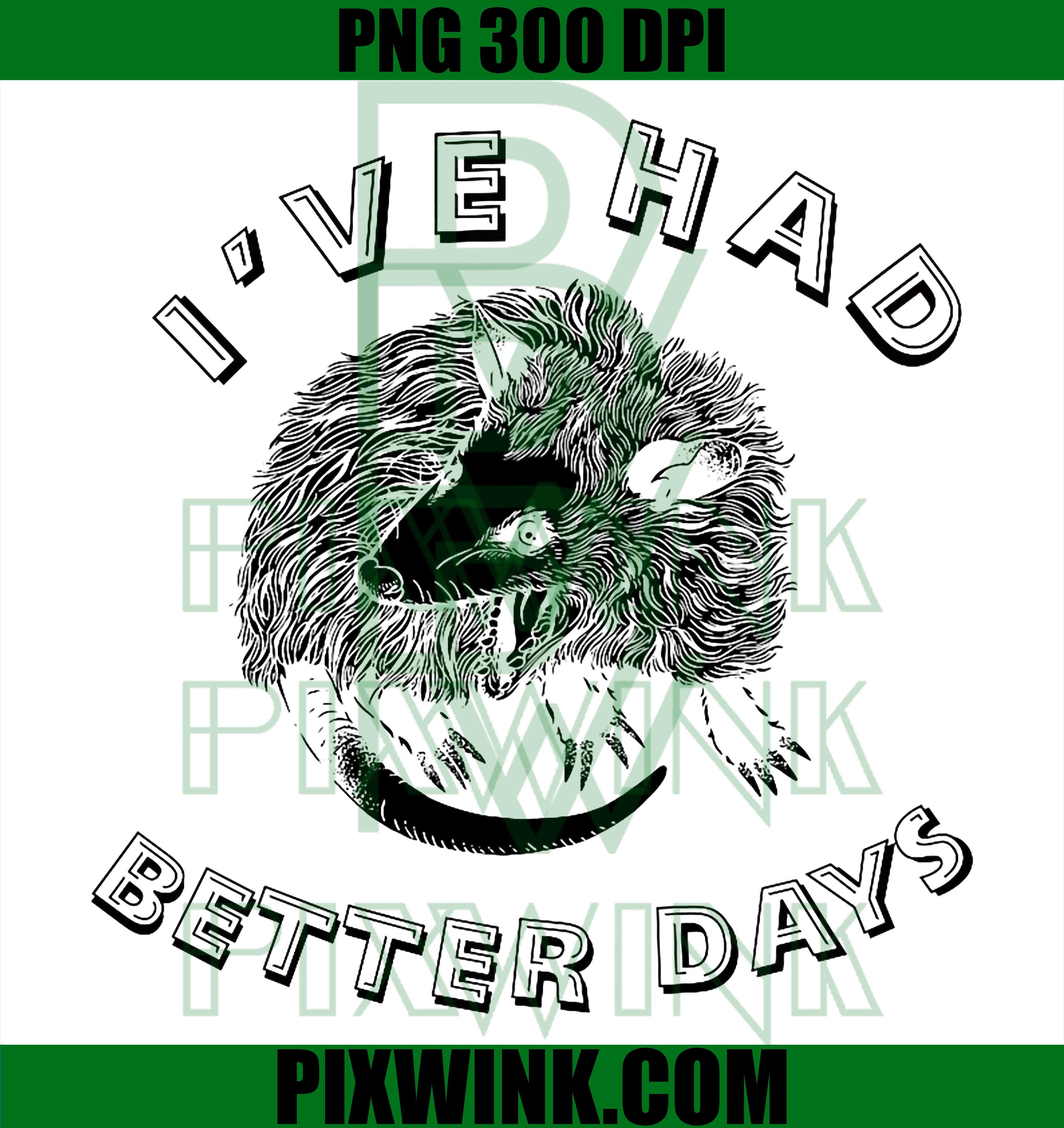 Cute Possum PNG, I’ve Had Better Days PNG Funny Sarcasm Design