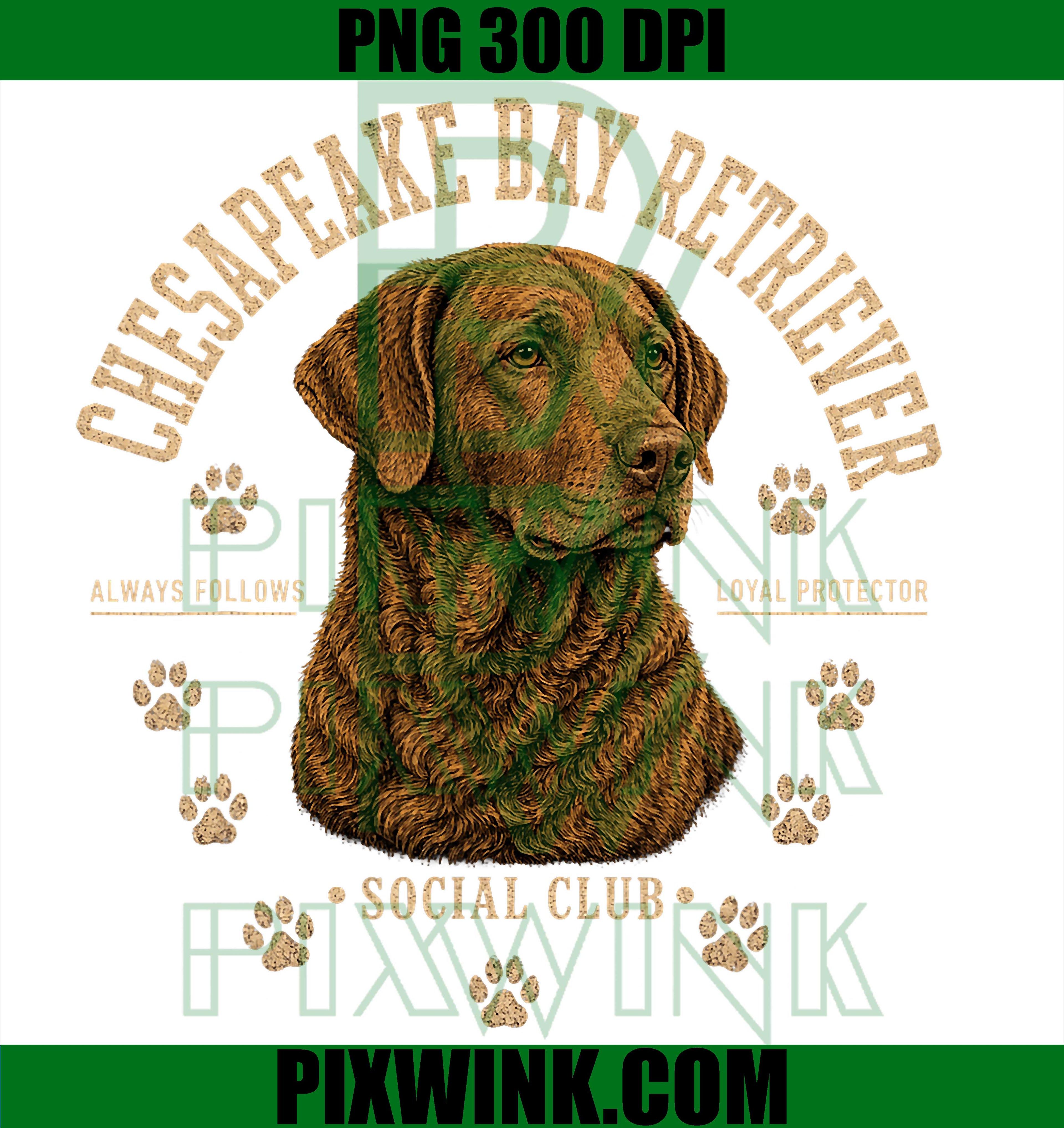Chesapeake Bay Retriever PNG, Loyal Breed Dog Club PNG Design