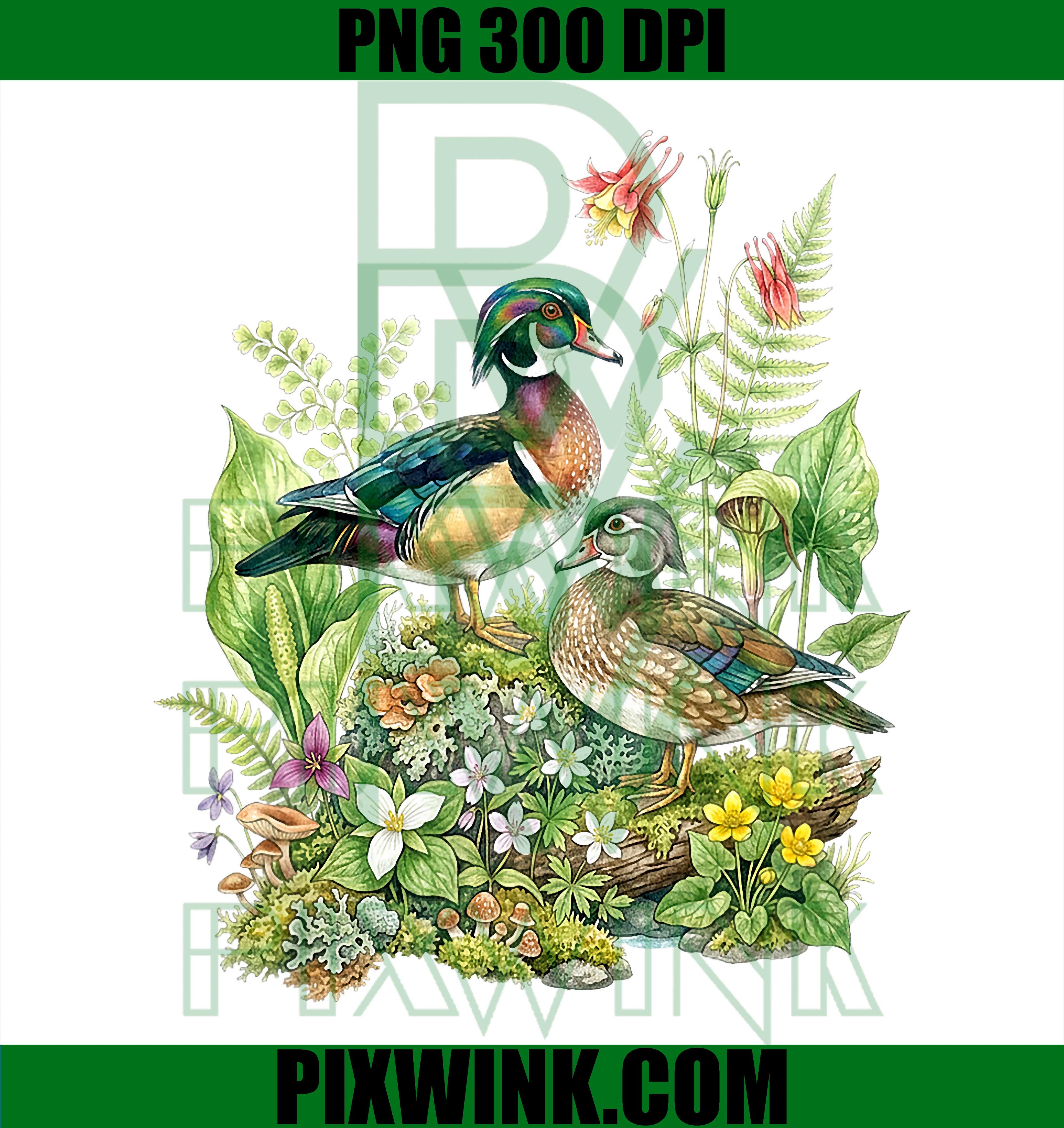 Floral Wood Duck PNG, Wildlife Bird Nature Hunting PNG