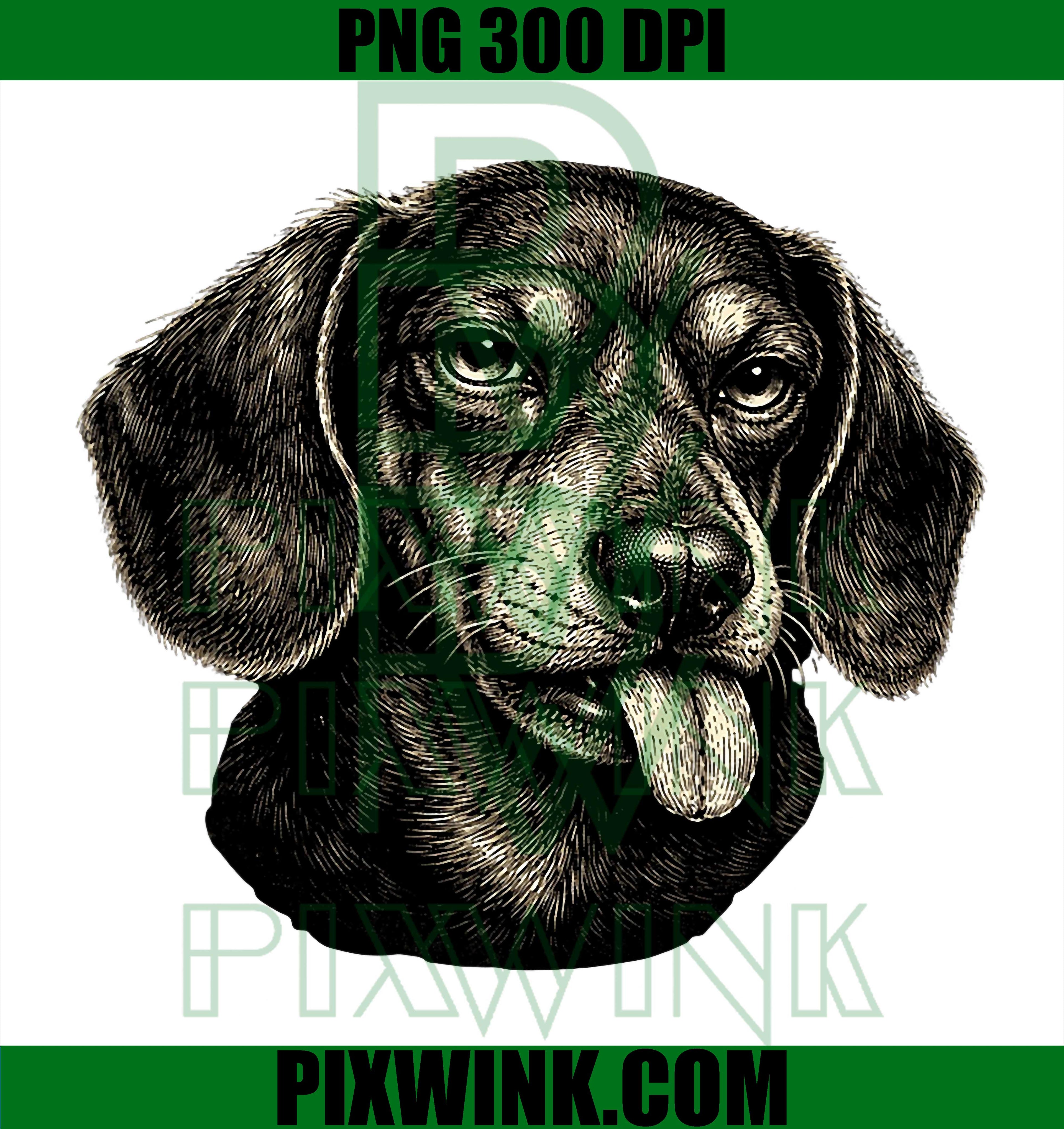 Funny Dachshund PNG, Tongue Out Wiener Dog PNG, Vintage Engraving PNG