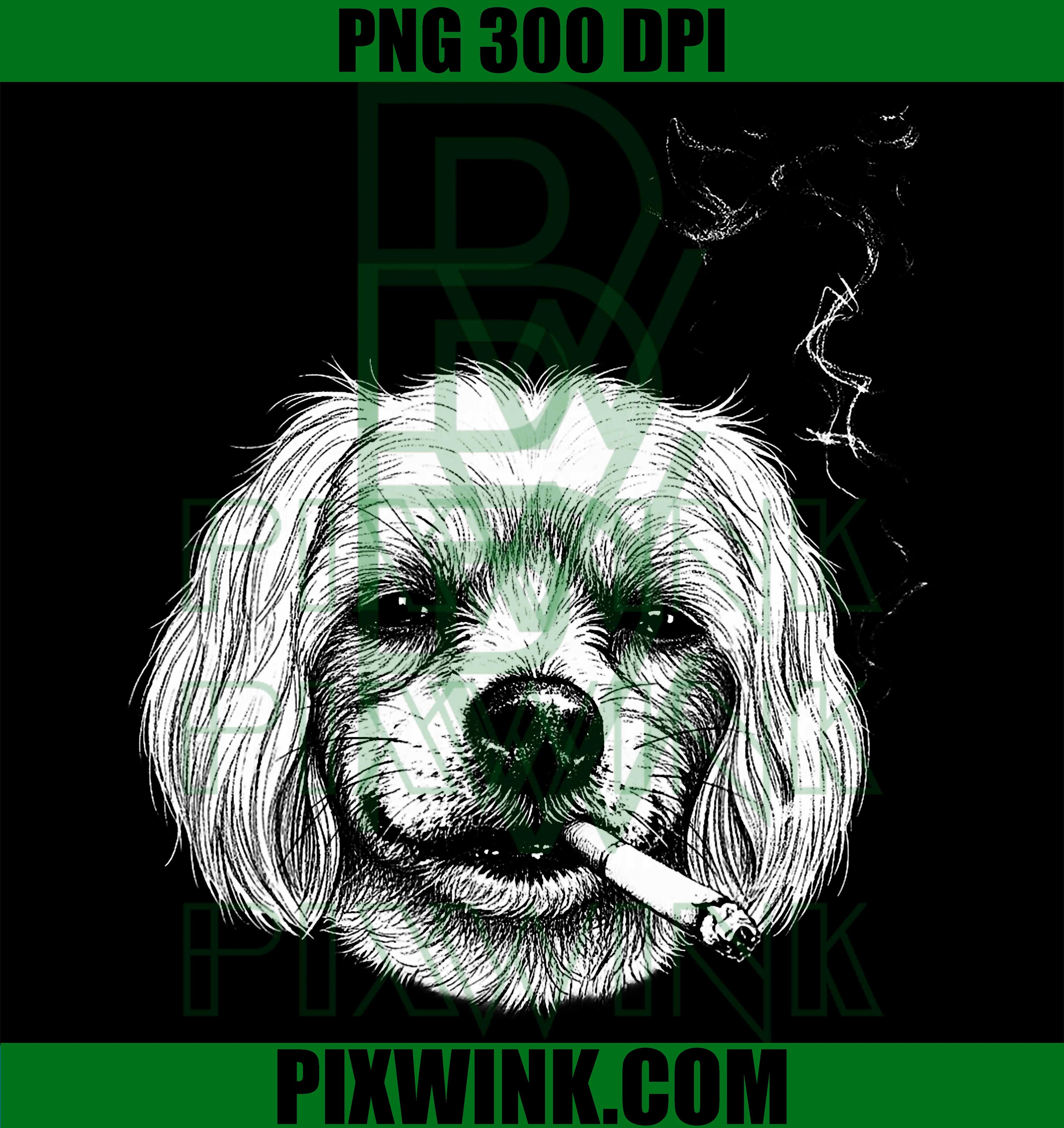 Smoking Maltese Dog PNG, Funny Maltese Meme PNG, Maltese Dog PNG