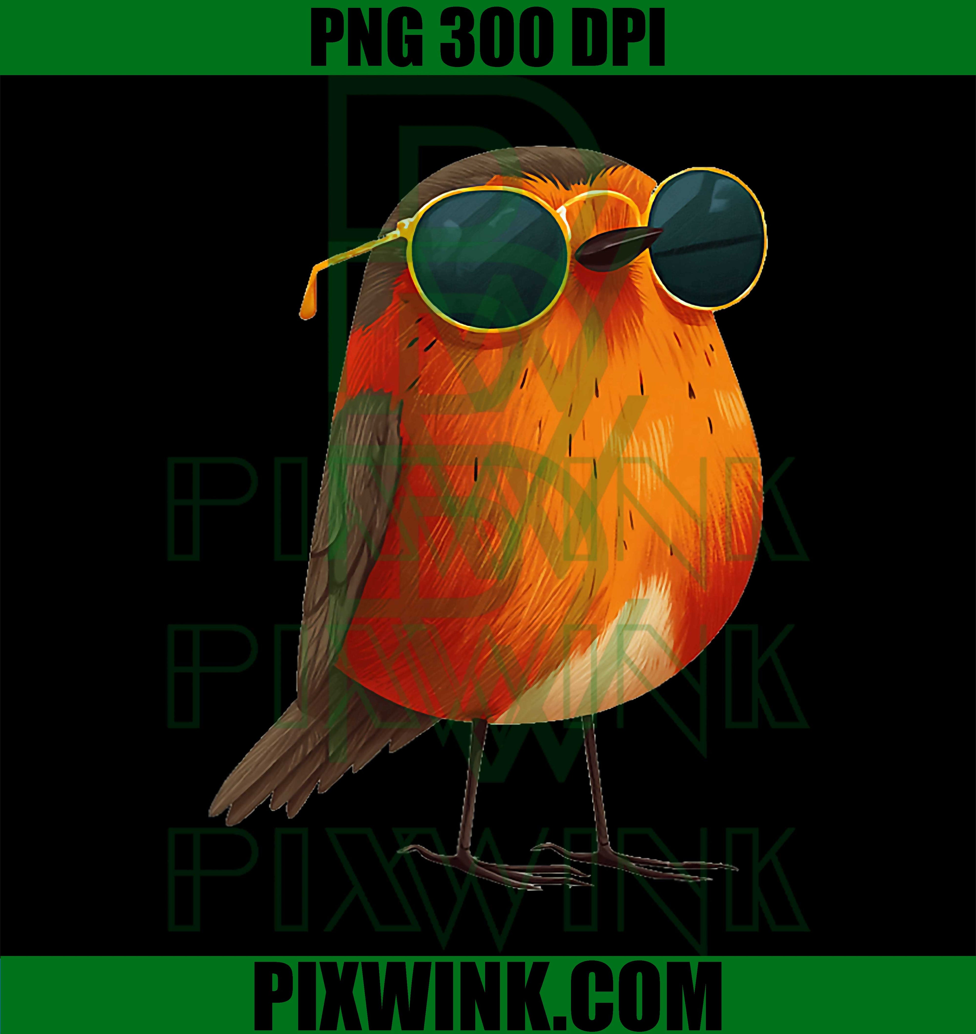 Cartoon Robin Sunglasses PNG, Cool Bird Graphic PNG, Cute Animal Design PNG