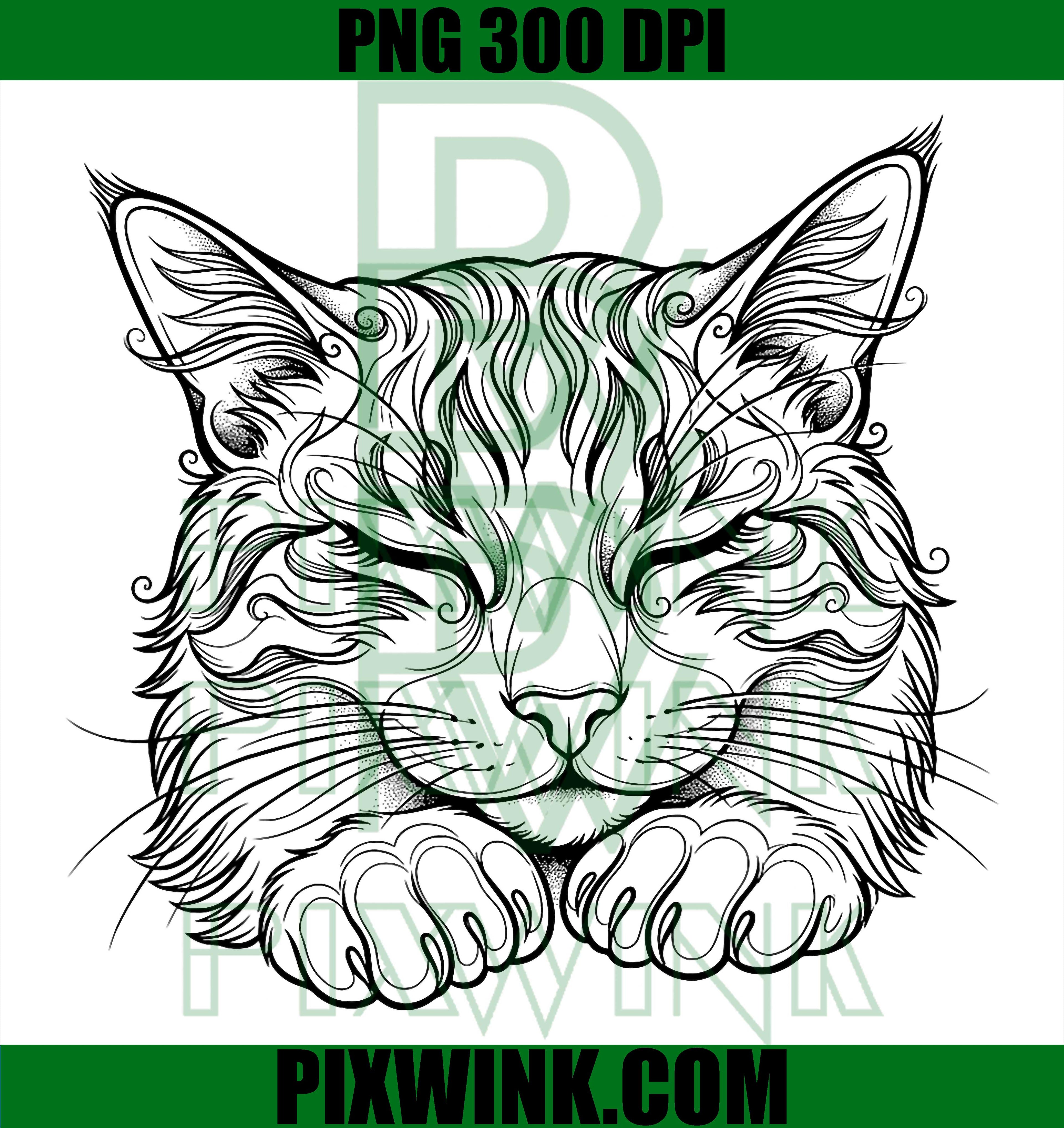 Cute Sleeping Kitten PNG, Funny Peaceful Cat Illustration PNG