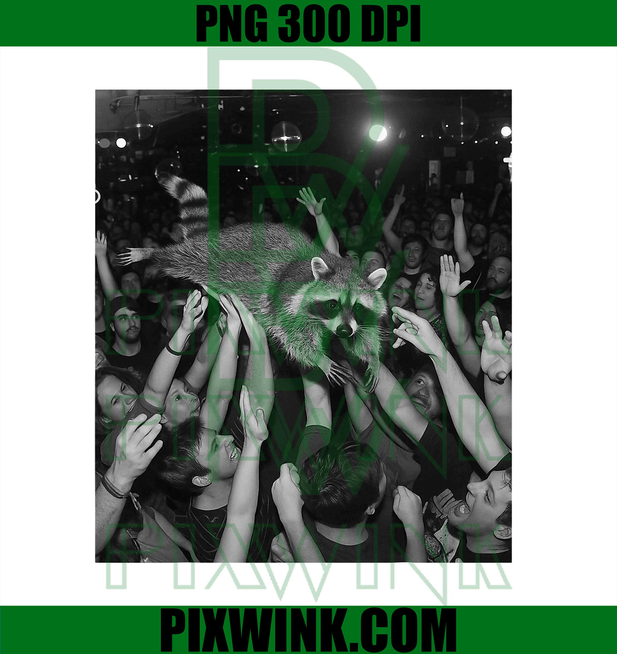 Funny Rock Raccoon Meme – Crowd Surfing Scene PNG