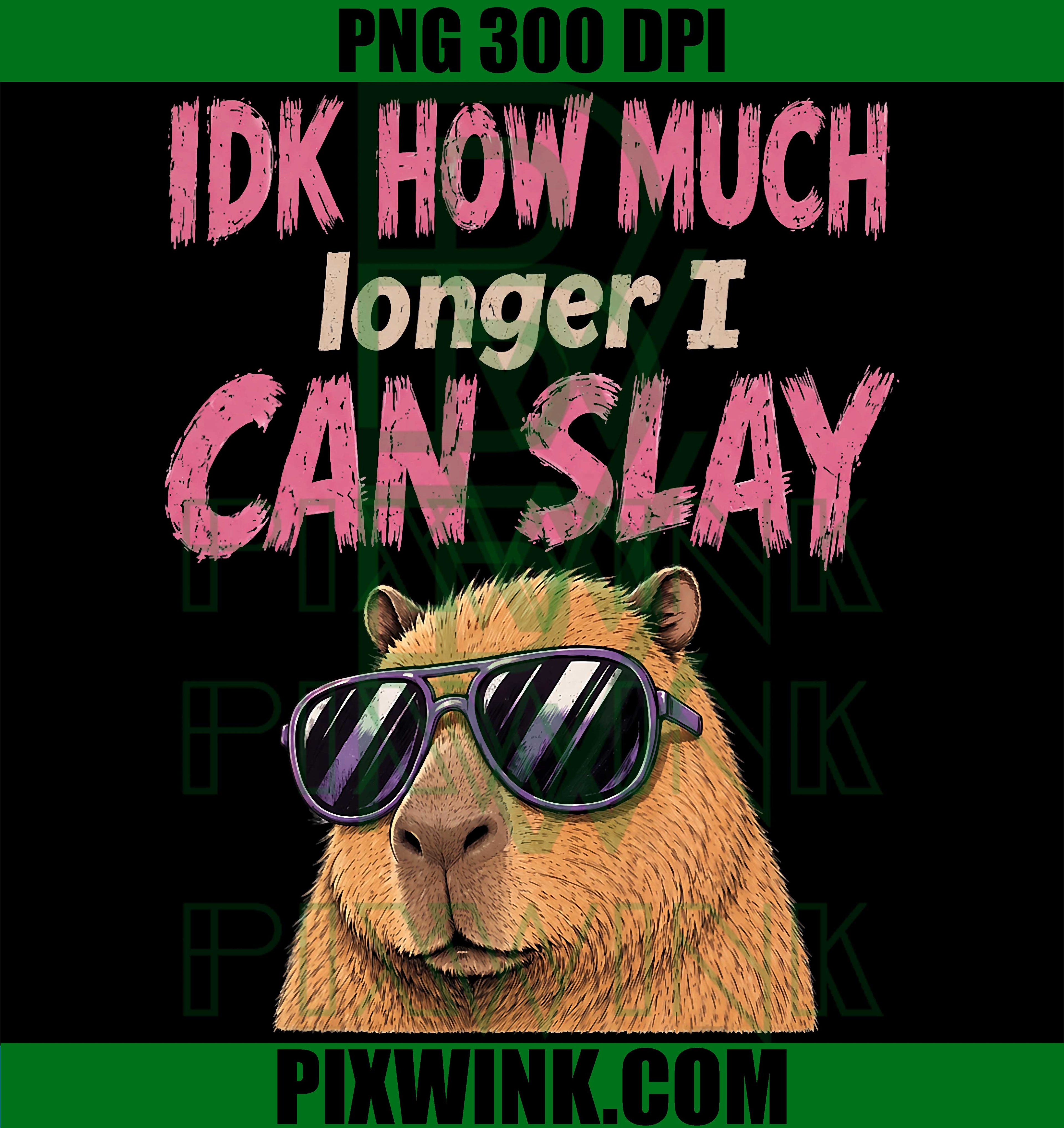 Capybara Slay Teens PNG, Funny Meme Capybara Quote PNG