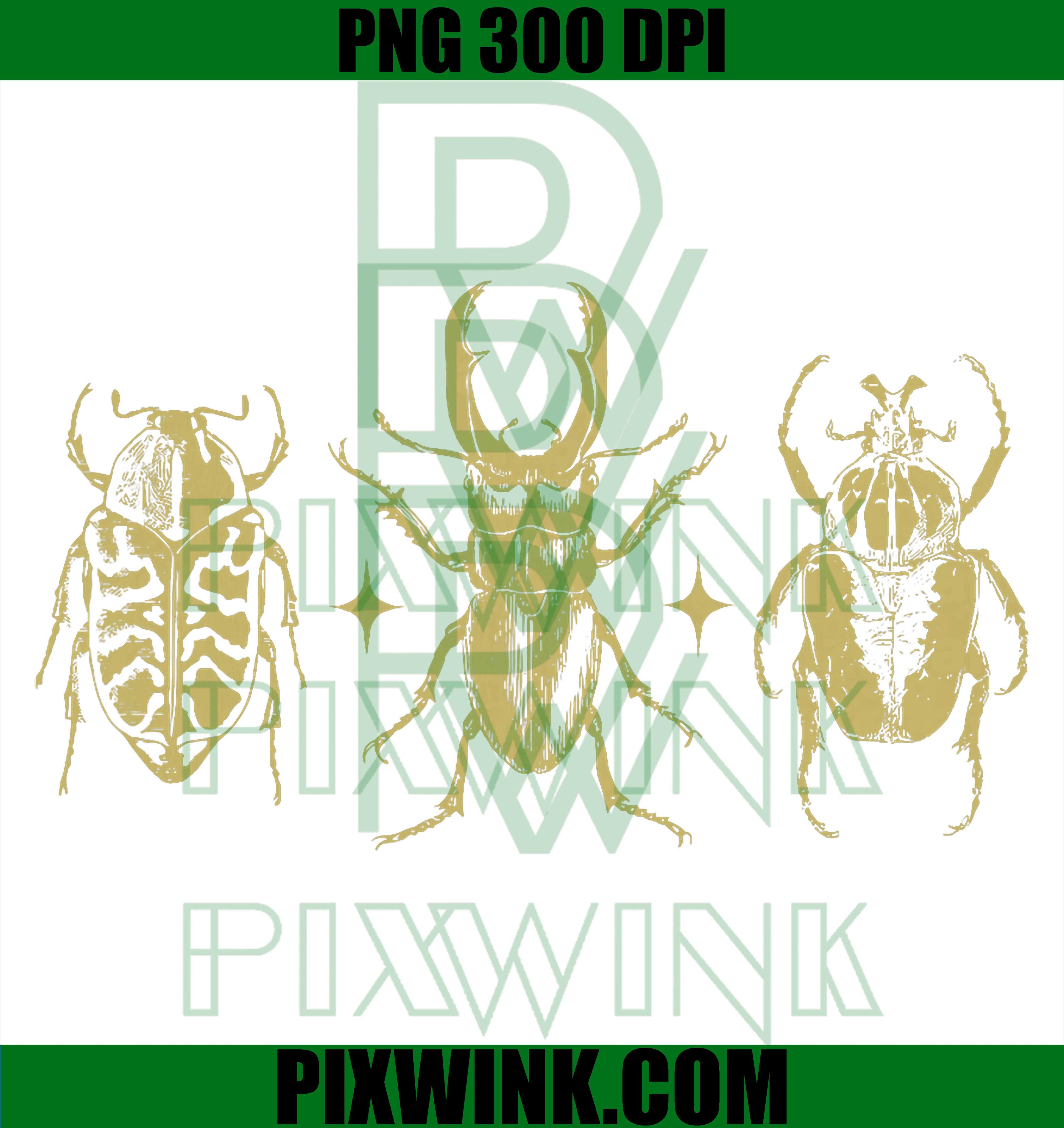 Beetles Insect PNG, Stag Rhinoceros Beetle PNG, Nature Bug Art PNG