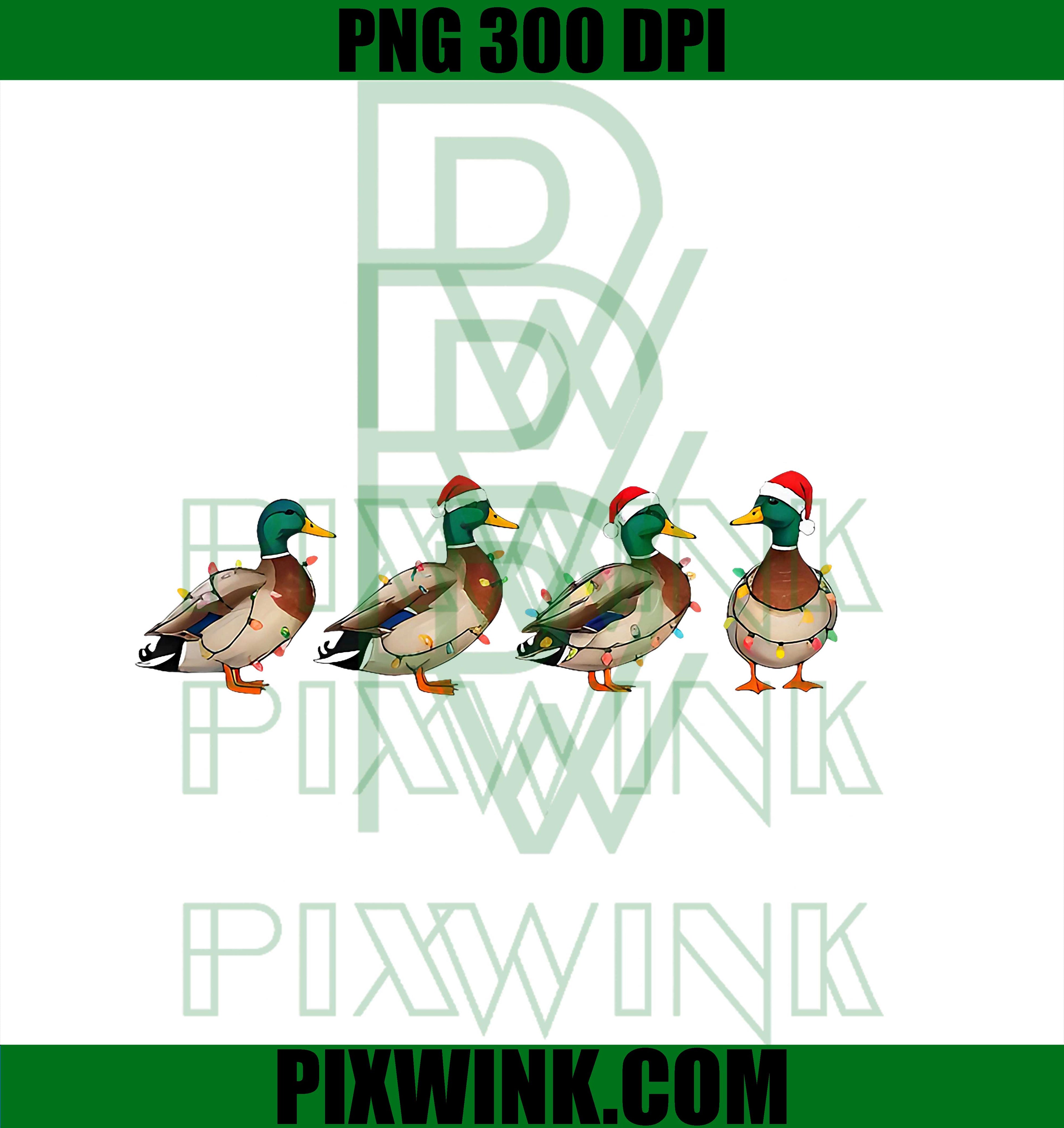 Mallard Duck Santa Christmas Lights PNG,  4 Mallard in Lights, Santa Hat PNG