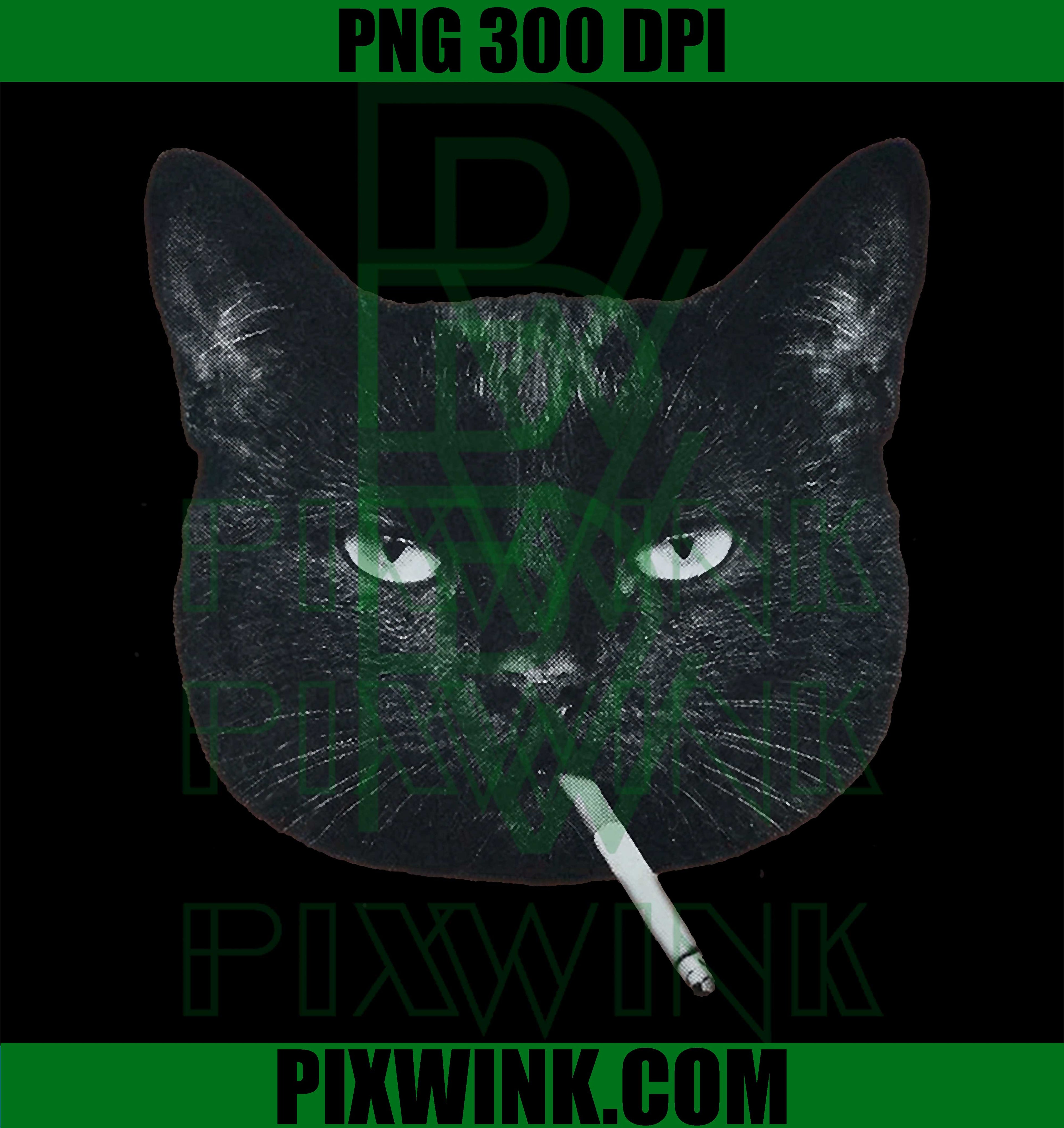 Funny Black Cat Smoking Cigarette PNG, Tabby Cat Meme Brainrot Graphic PNG