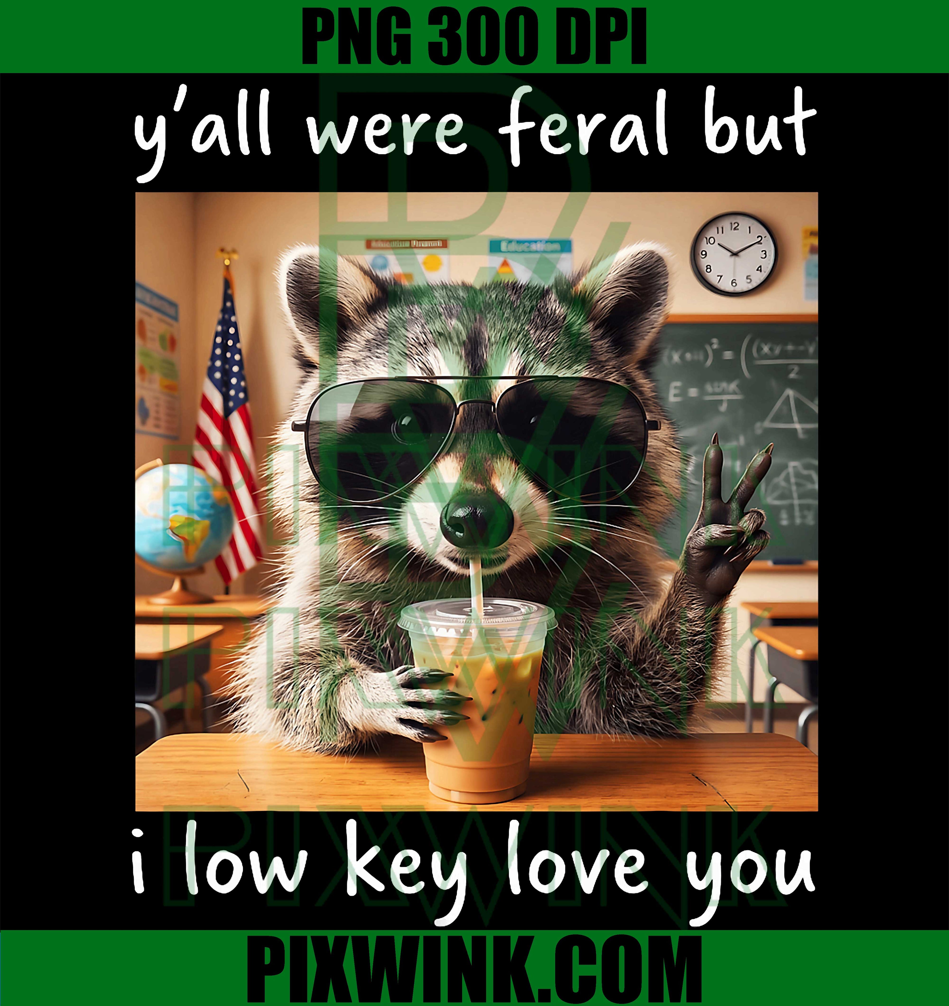 Raccoon Feral School Humor PNG, Low Key Love You Animal PNG