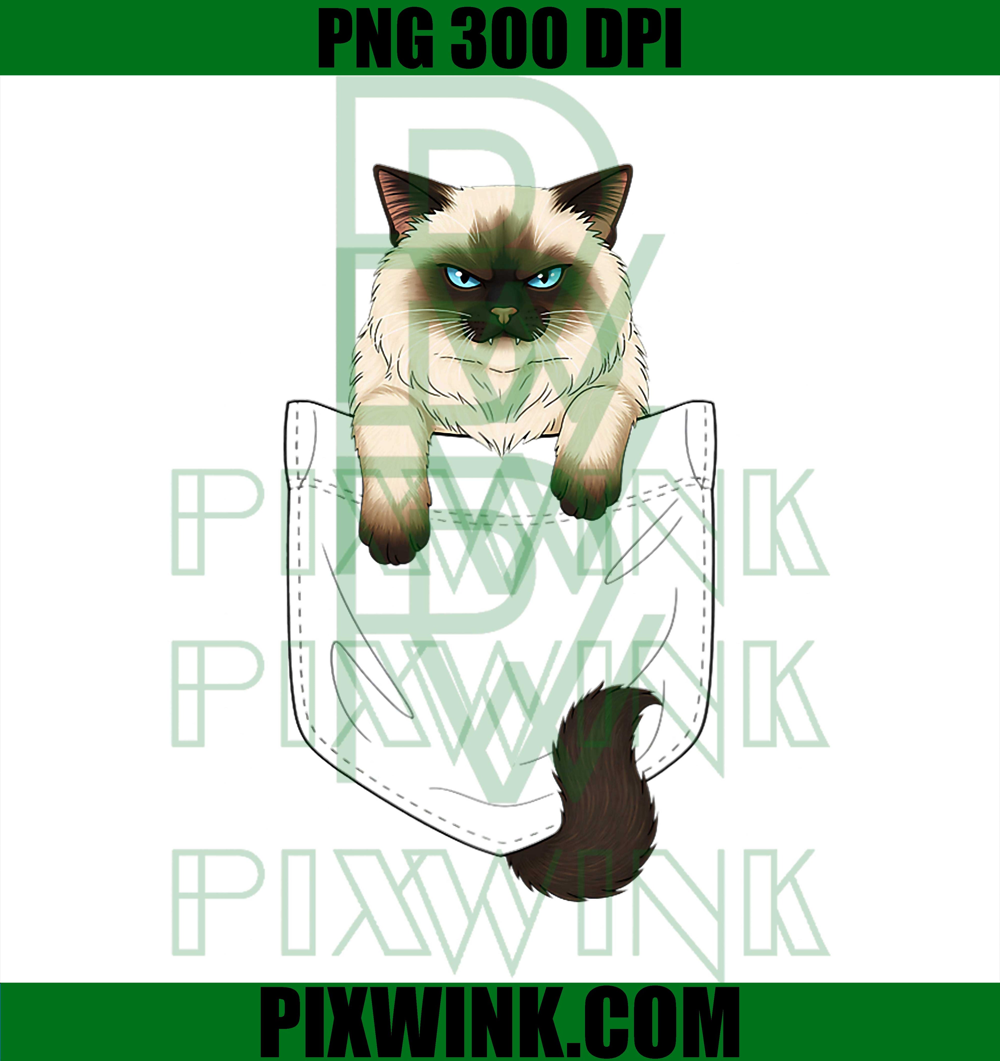 Cat Pocket Matching Cat and Owner Clothes Ragdoll Cute Cat PNG