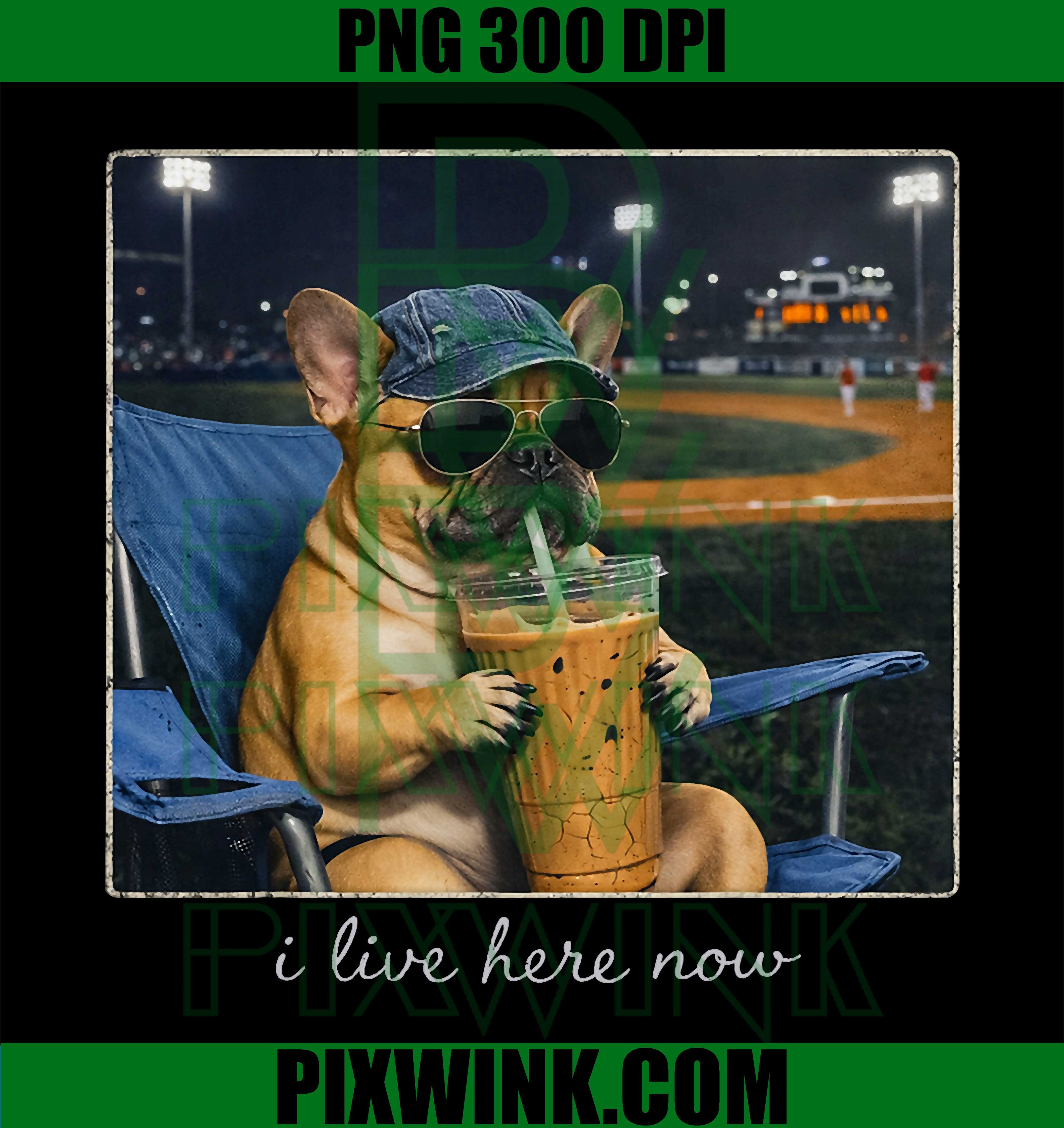 Funny French Bulldog Baseball PNG, Chill Dog Humor Design PNG