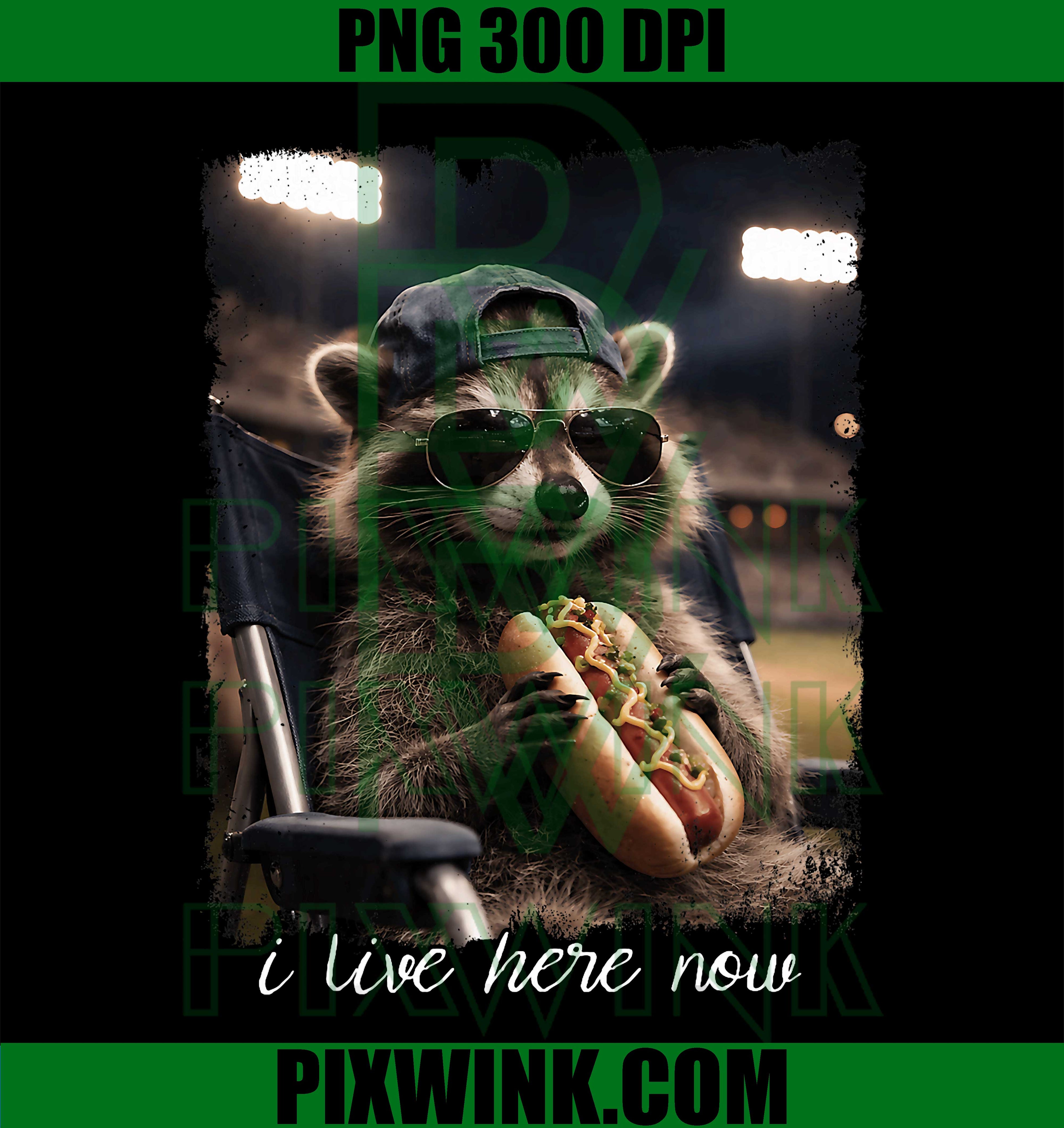 Raccoon Baseball PNG, Hot Dog Ballfield PNG, Funny Sports Animal PNG