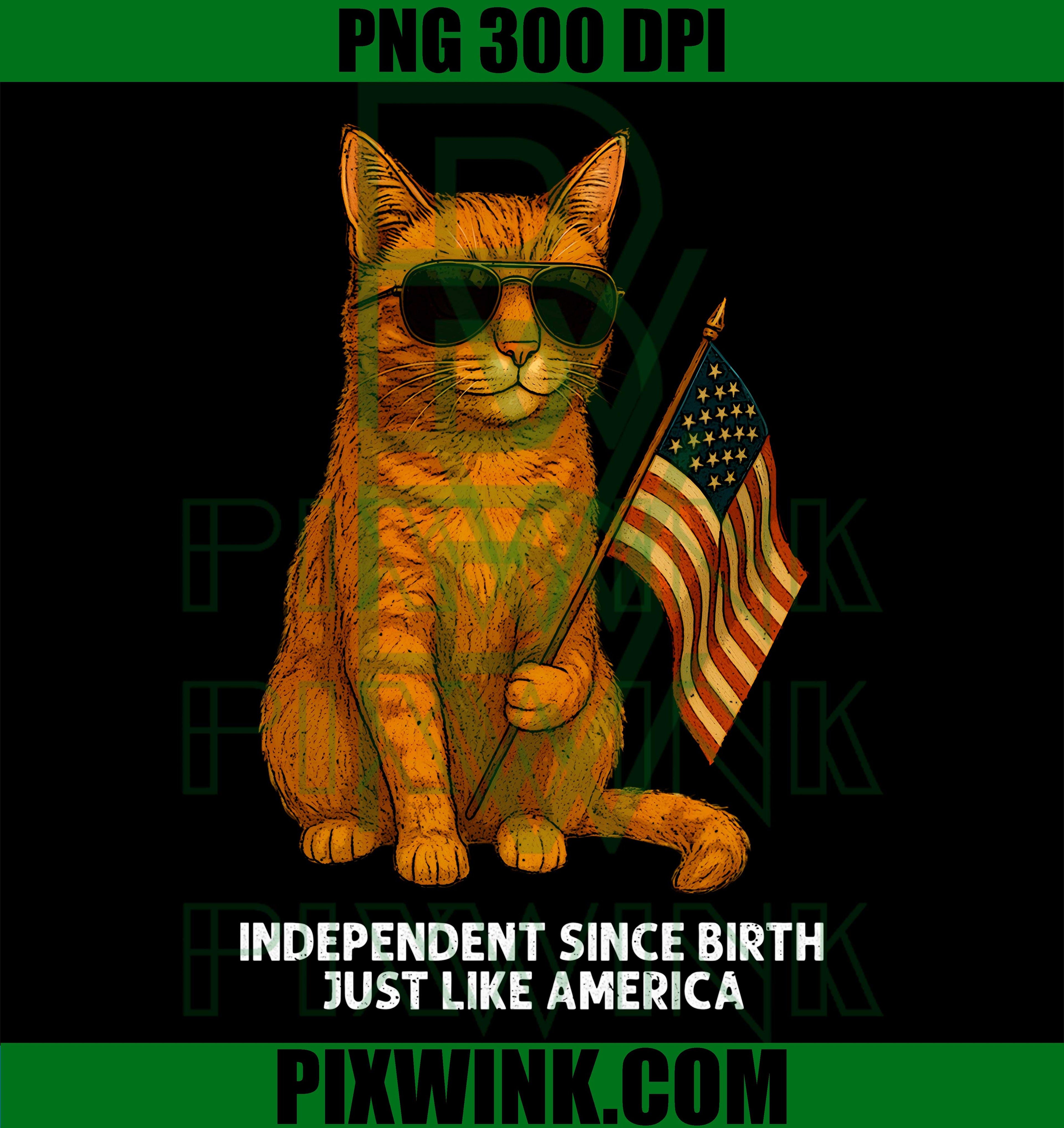 250th USA Patriotic July 4th PNG, American Flag Freedom PNG, Independence Day USA PNG