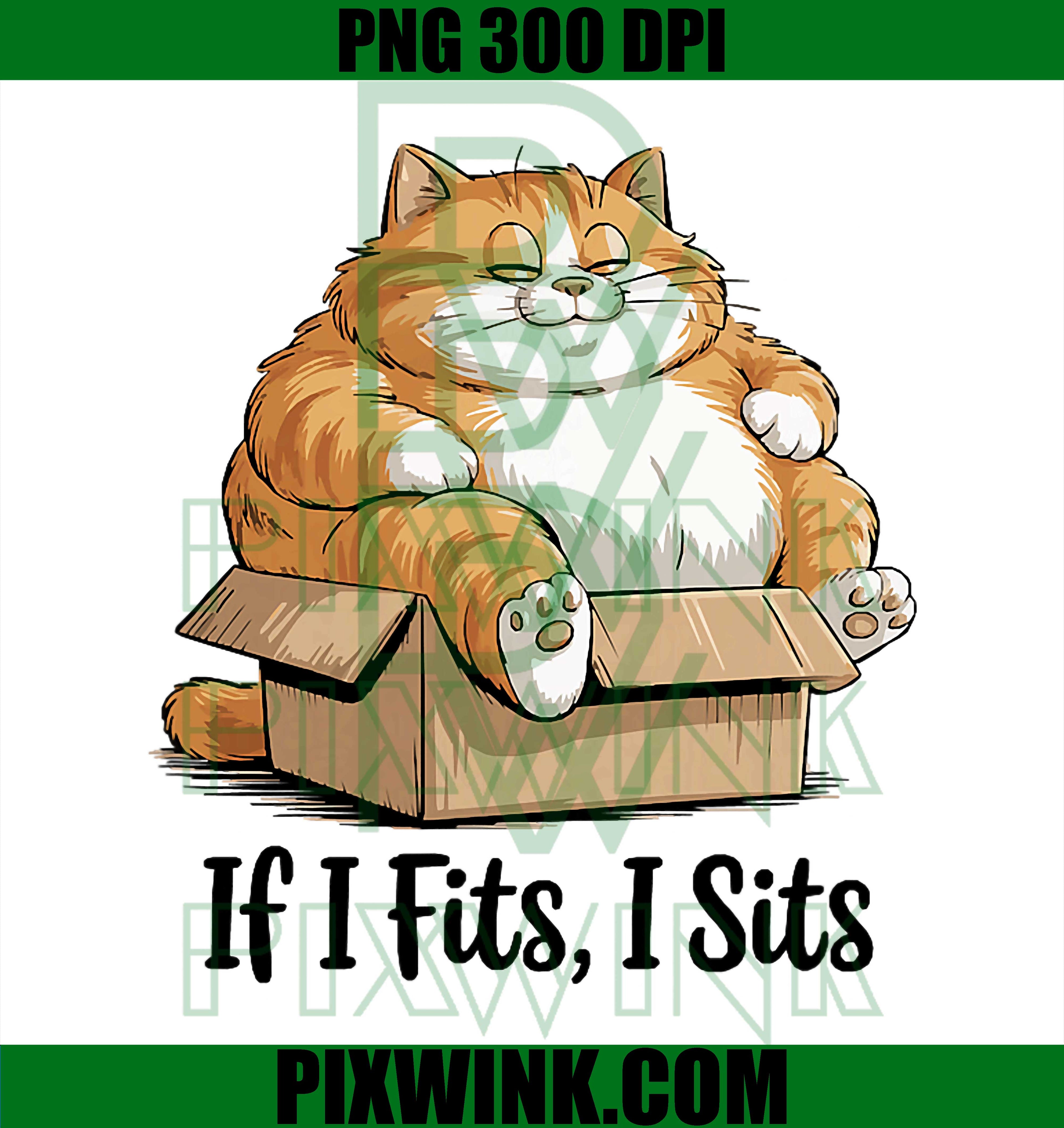 If I Fits, I Sits Cat PNG, Funny Orange Cat PNG