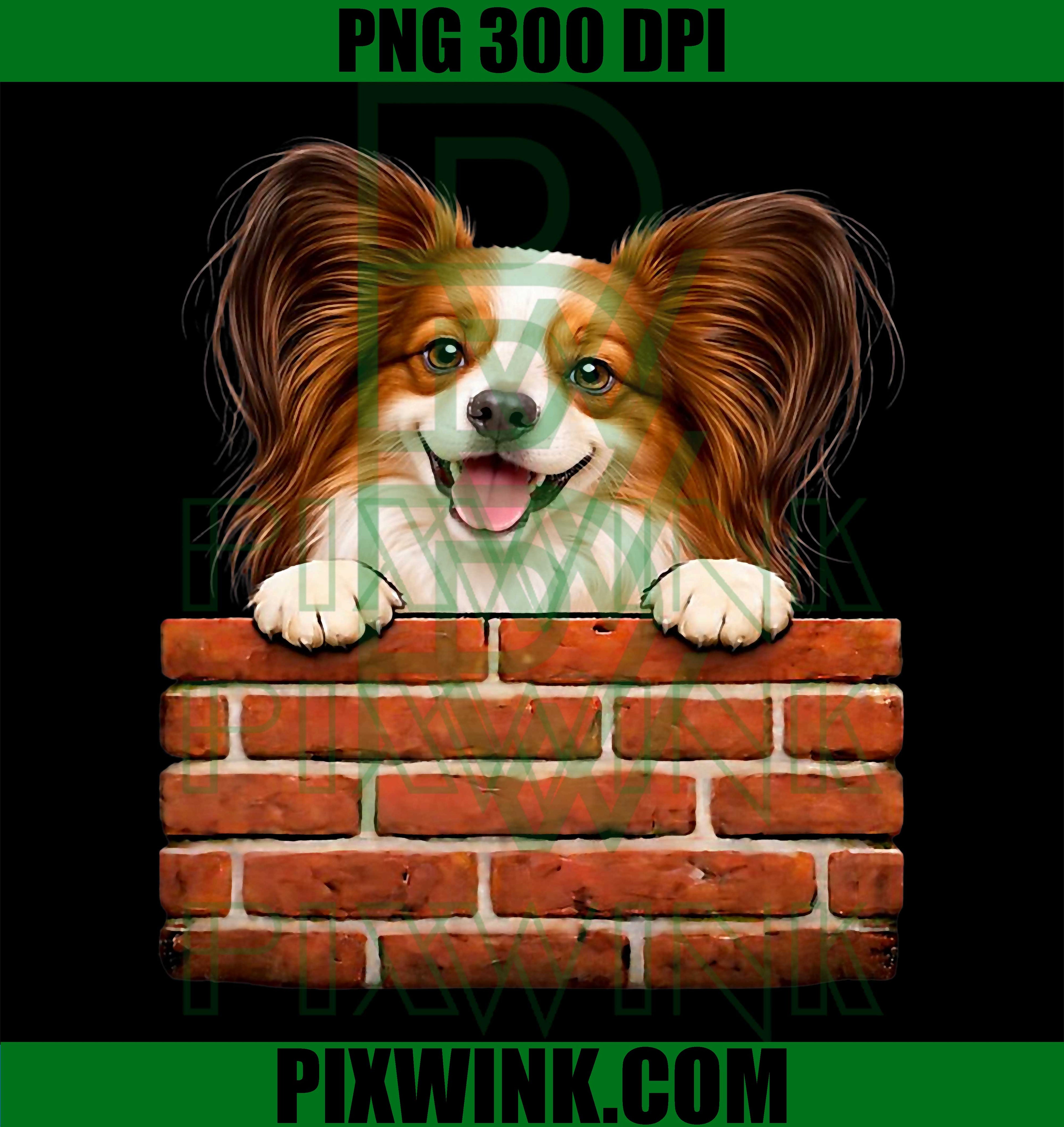 Papillon Dog Brick Wall PNG, Funny Papillon Design PNG