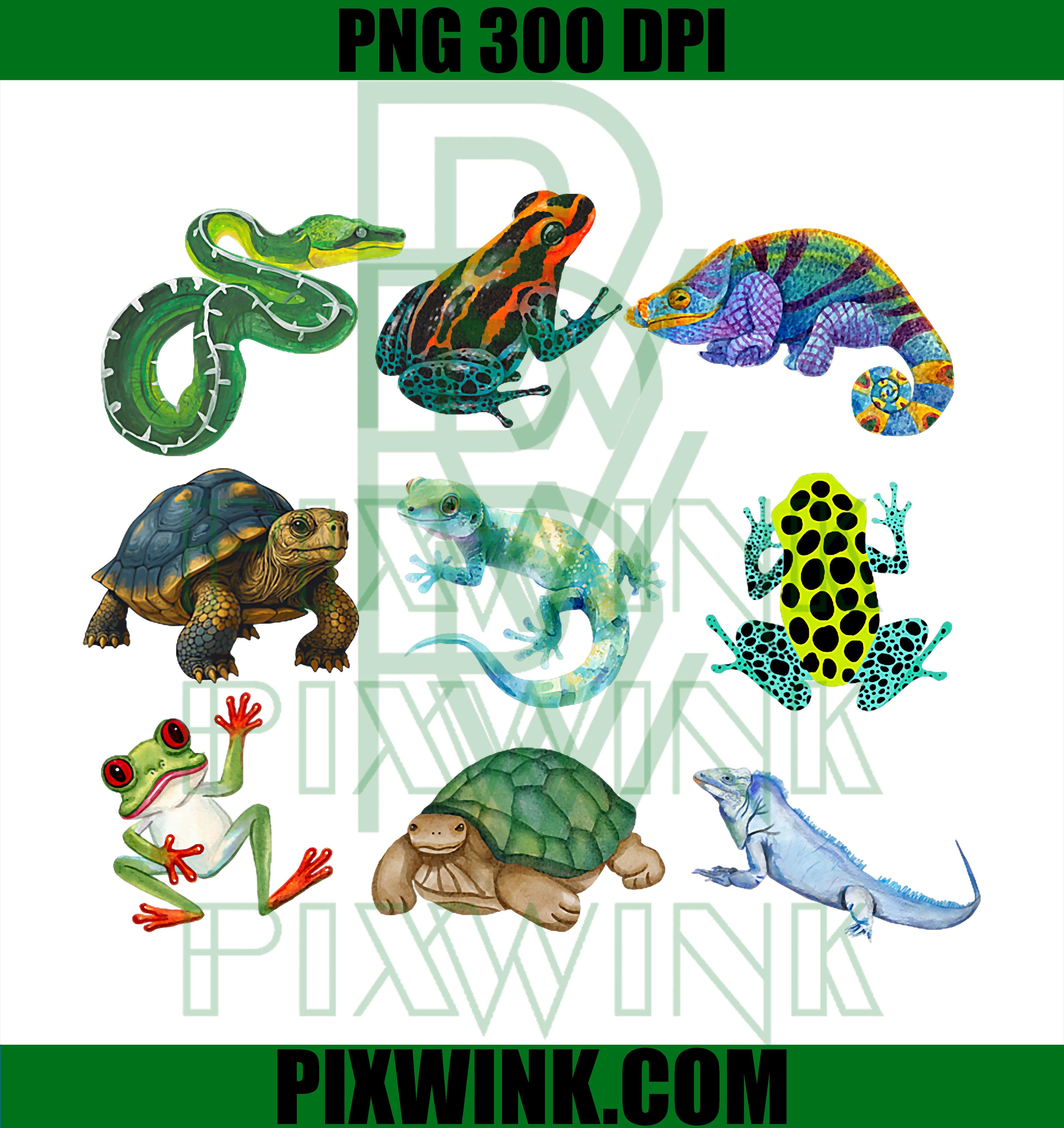 Reptile Lizards Snakes PNG, Reptile Lover Herpetology Graphic PNG