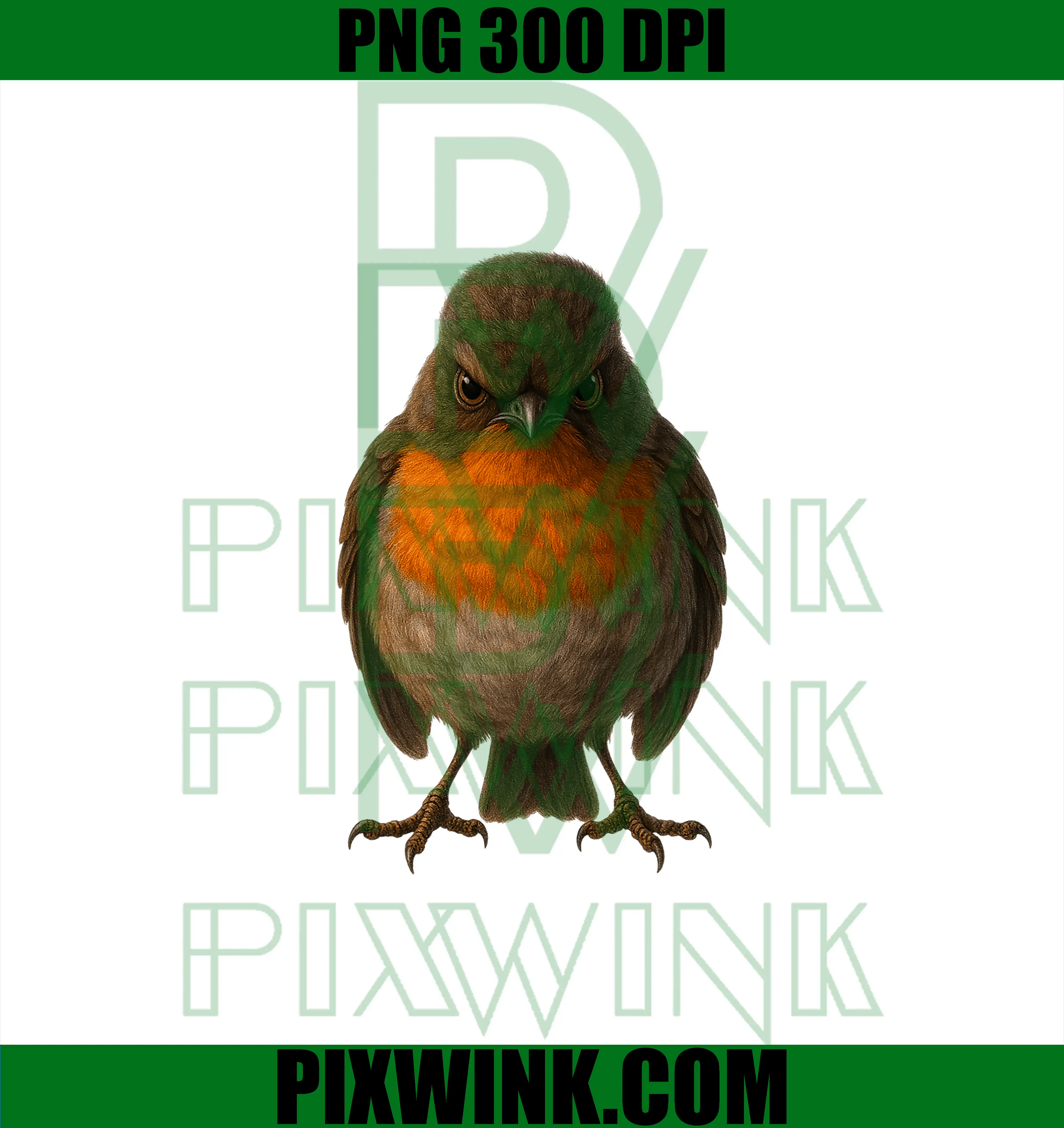 Angry Robin Artwork PNG, Nature Bird Wildlife Forest Illustration PNG