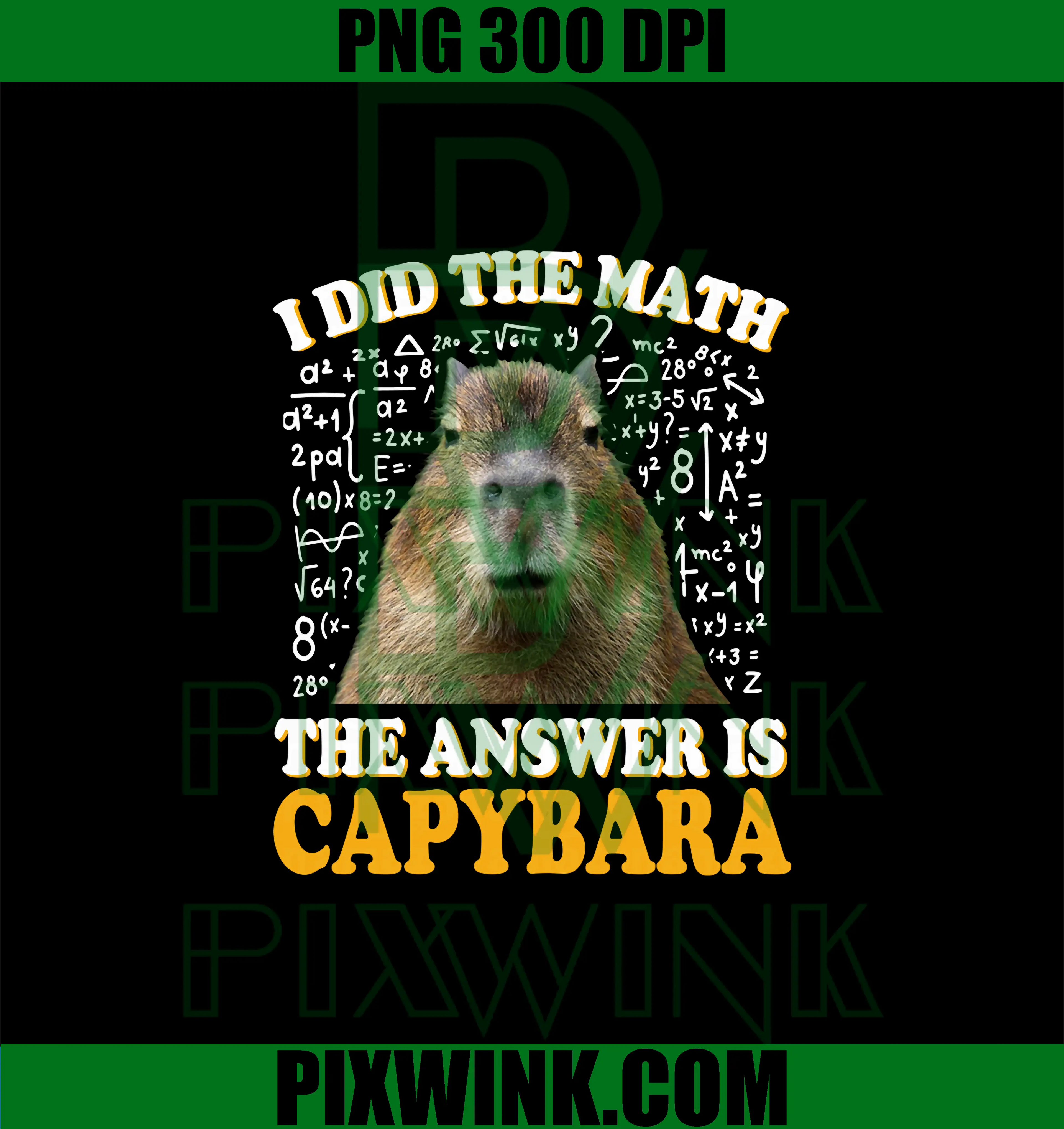 I Did The Math Answer Capybara PNG, Meme Capybara PNG