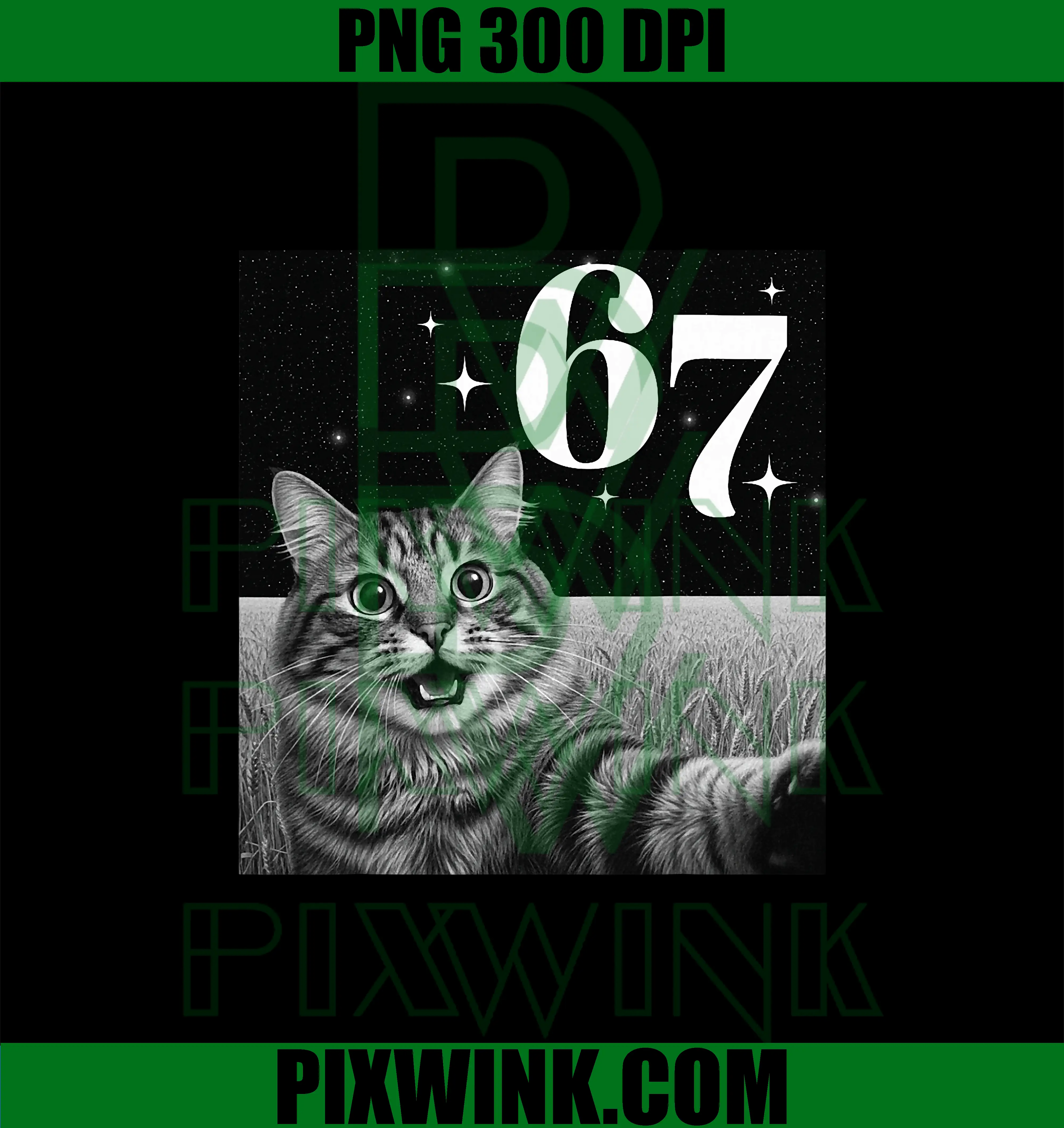 Cat Selfie with 67 PNG, Meme Funny Cats Graphic PNG