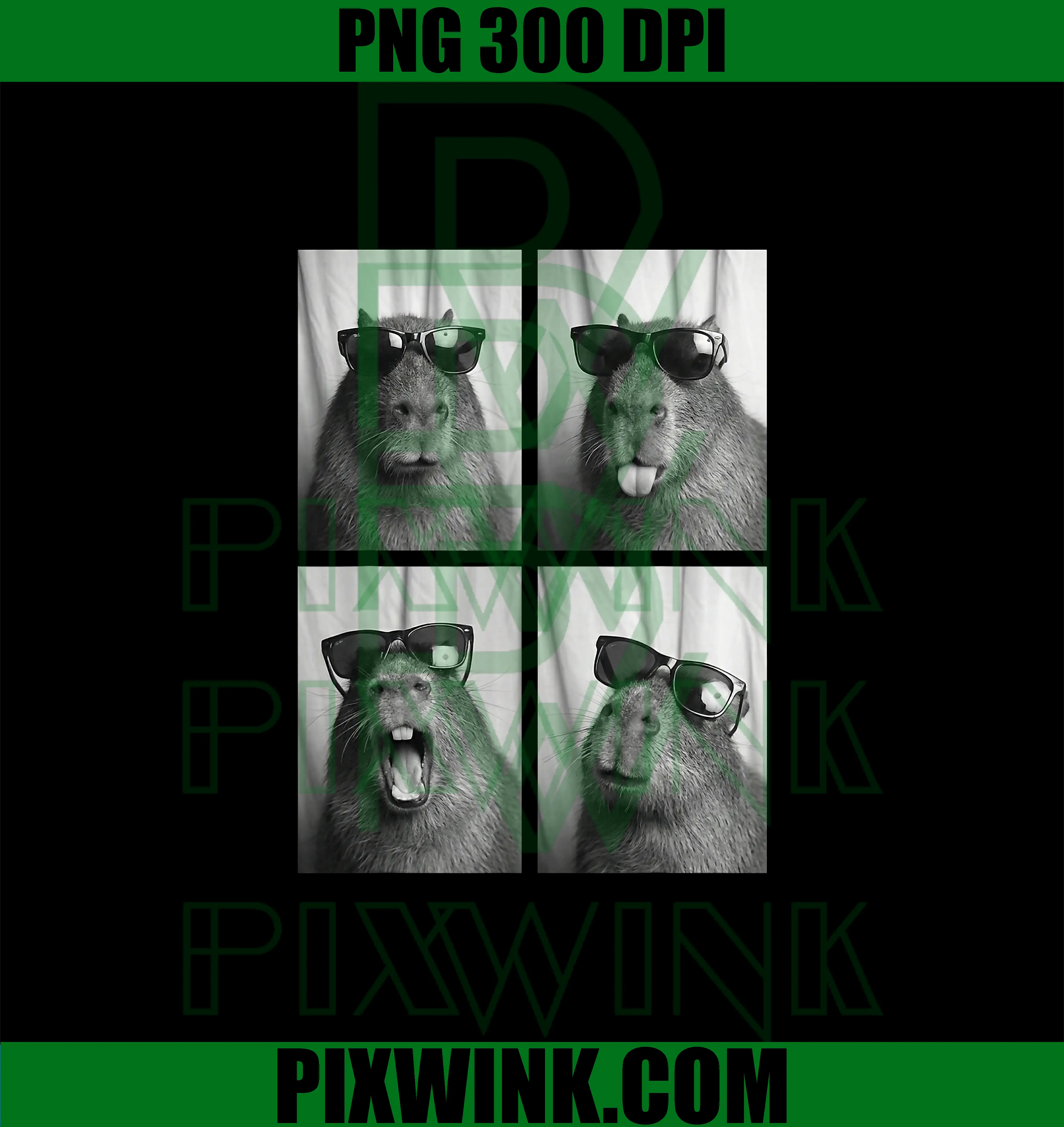 Cool Capybara with Sunglasses PhotoBooth PNG, Funny Rodent Animal PNG
