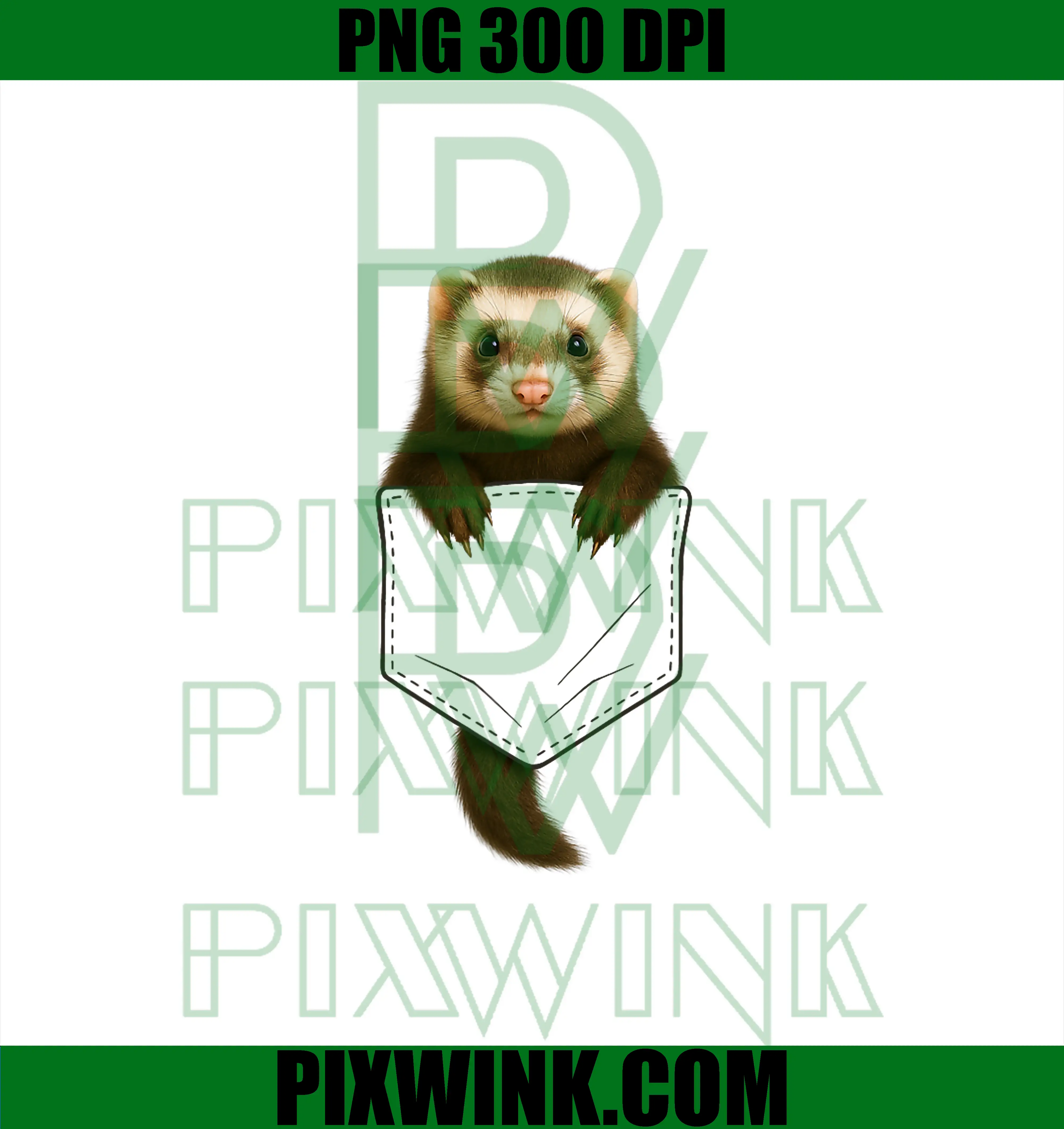 Cute Ferret Pocket PNG, Funny Ferret PNG