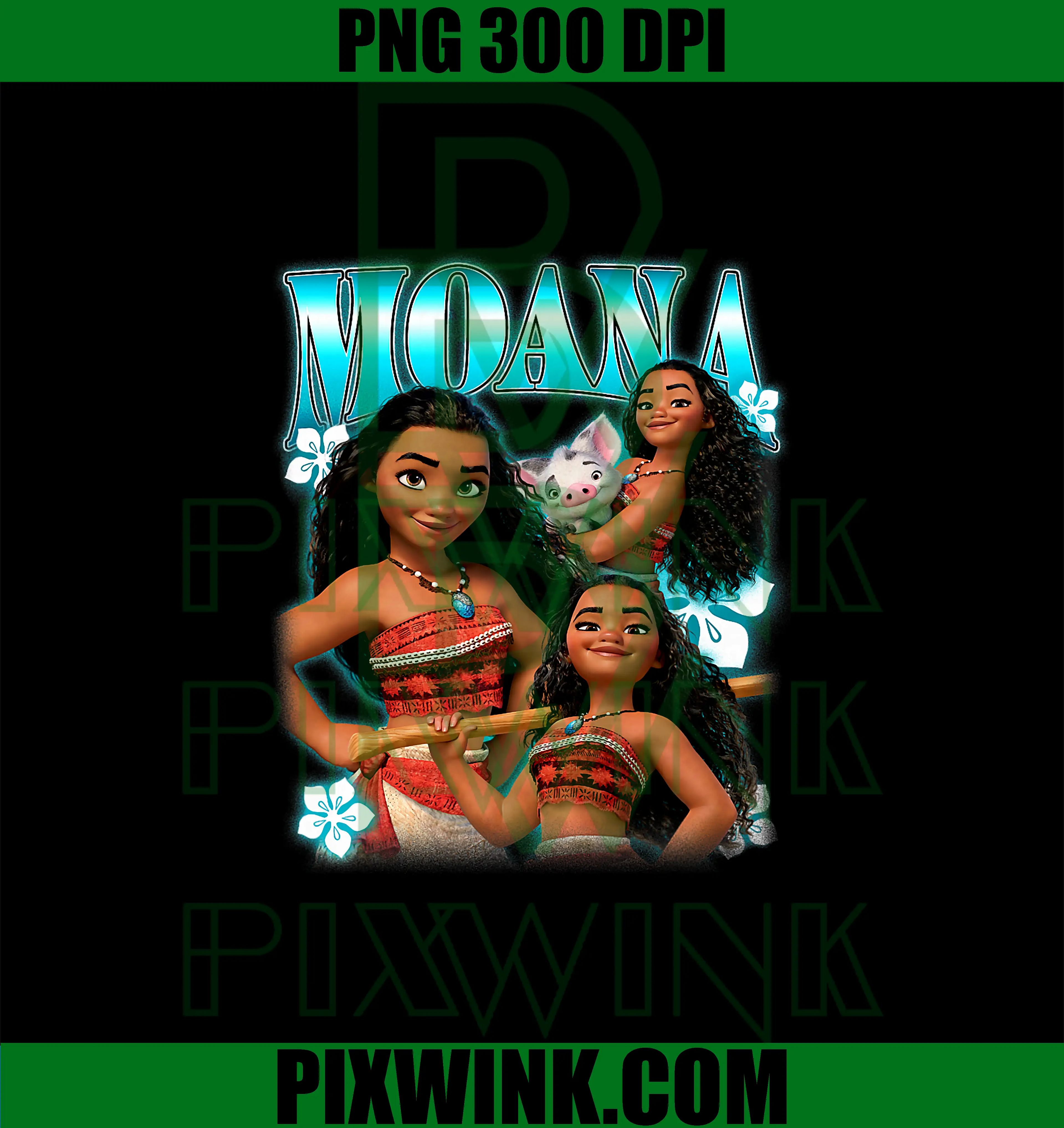 Disney Moana Cute PNG, Pua And Moana Brave Pose Collage PNG