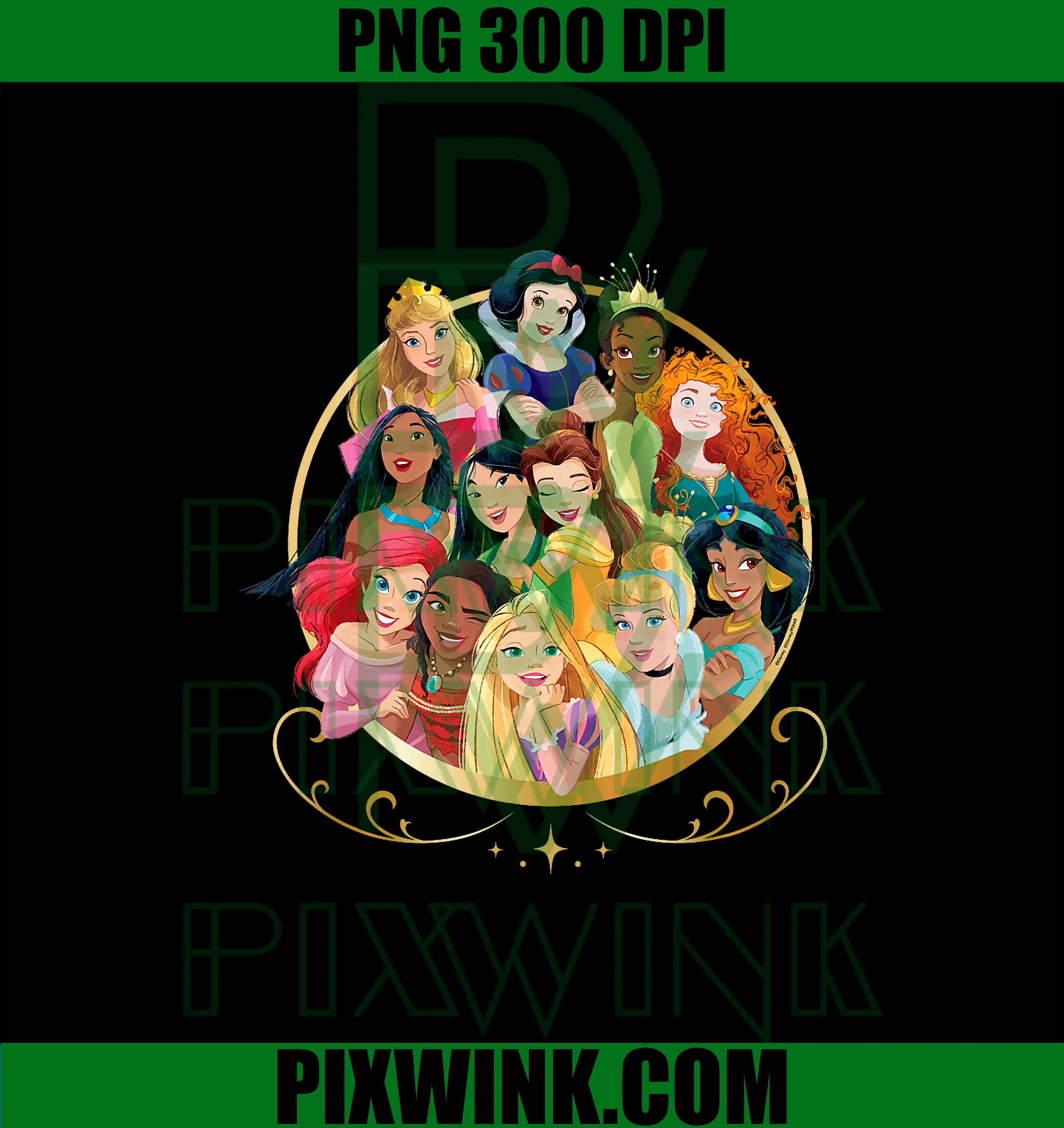 Royal Friends Group PNG, Disney Princess PNG