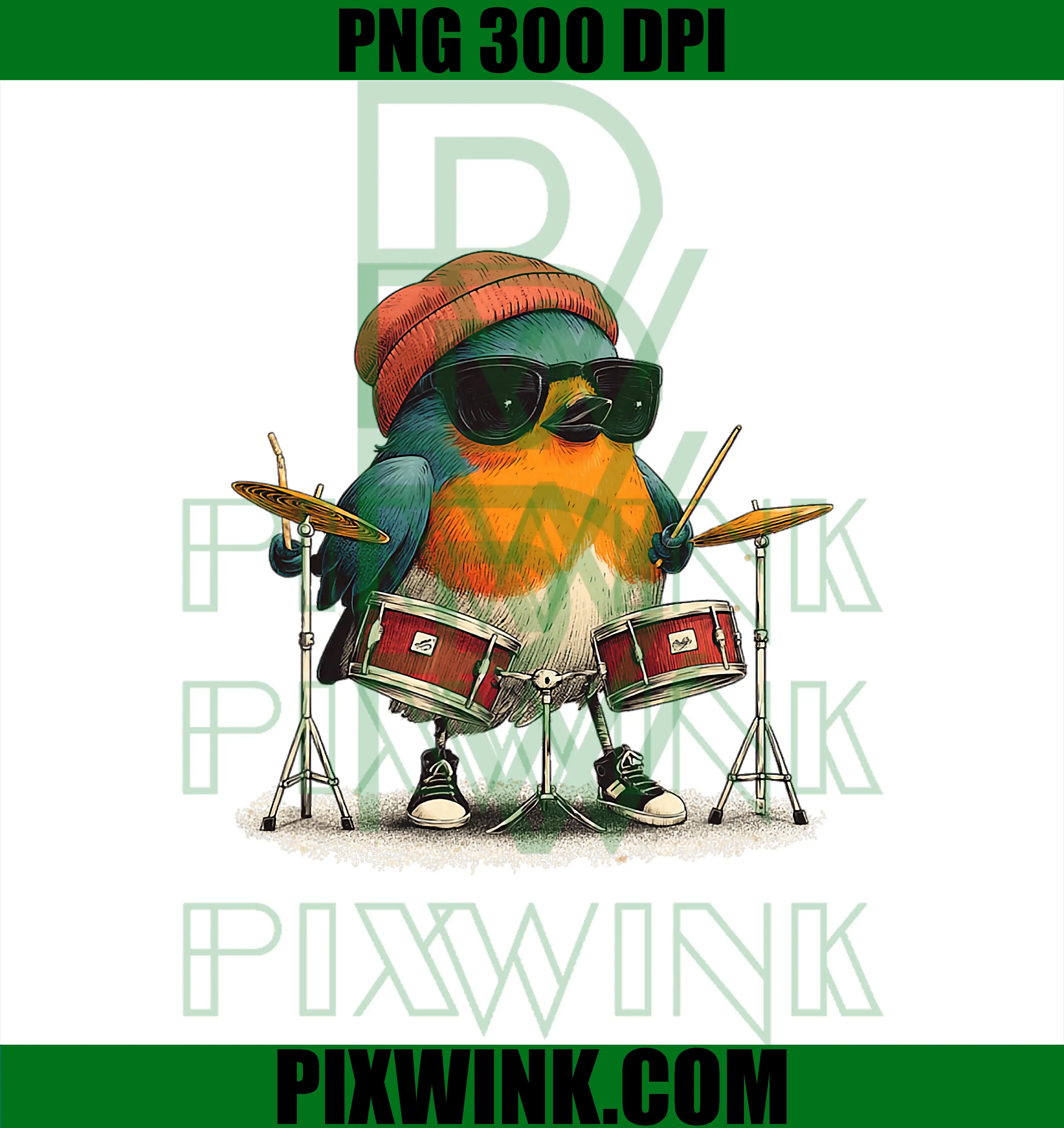 Drumming Robin Bird PNG, Cool Drums and Look PNG