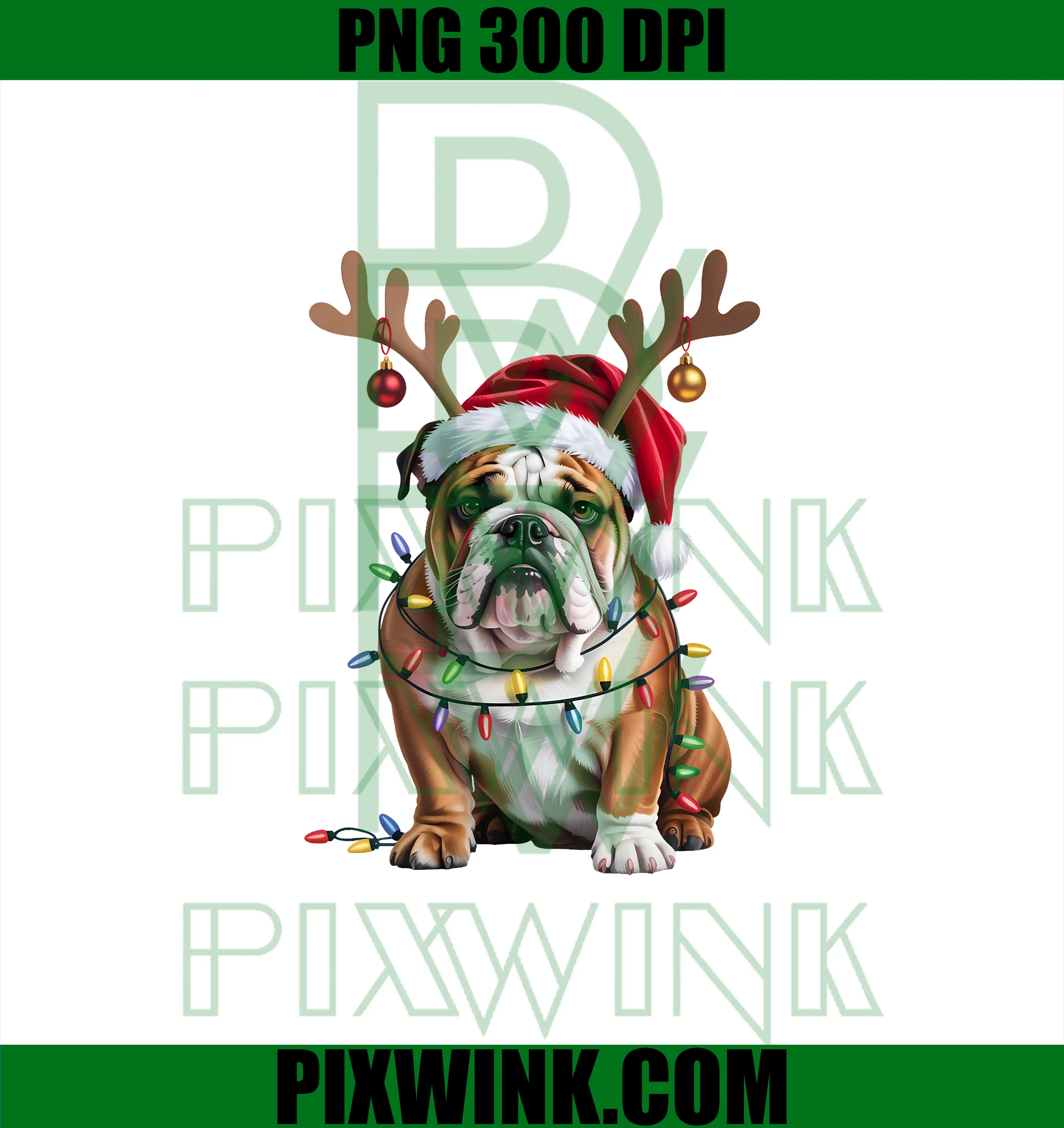 English Bulldog Dog Christmas PNG, Lights Xmas PNG