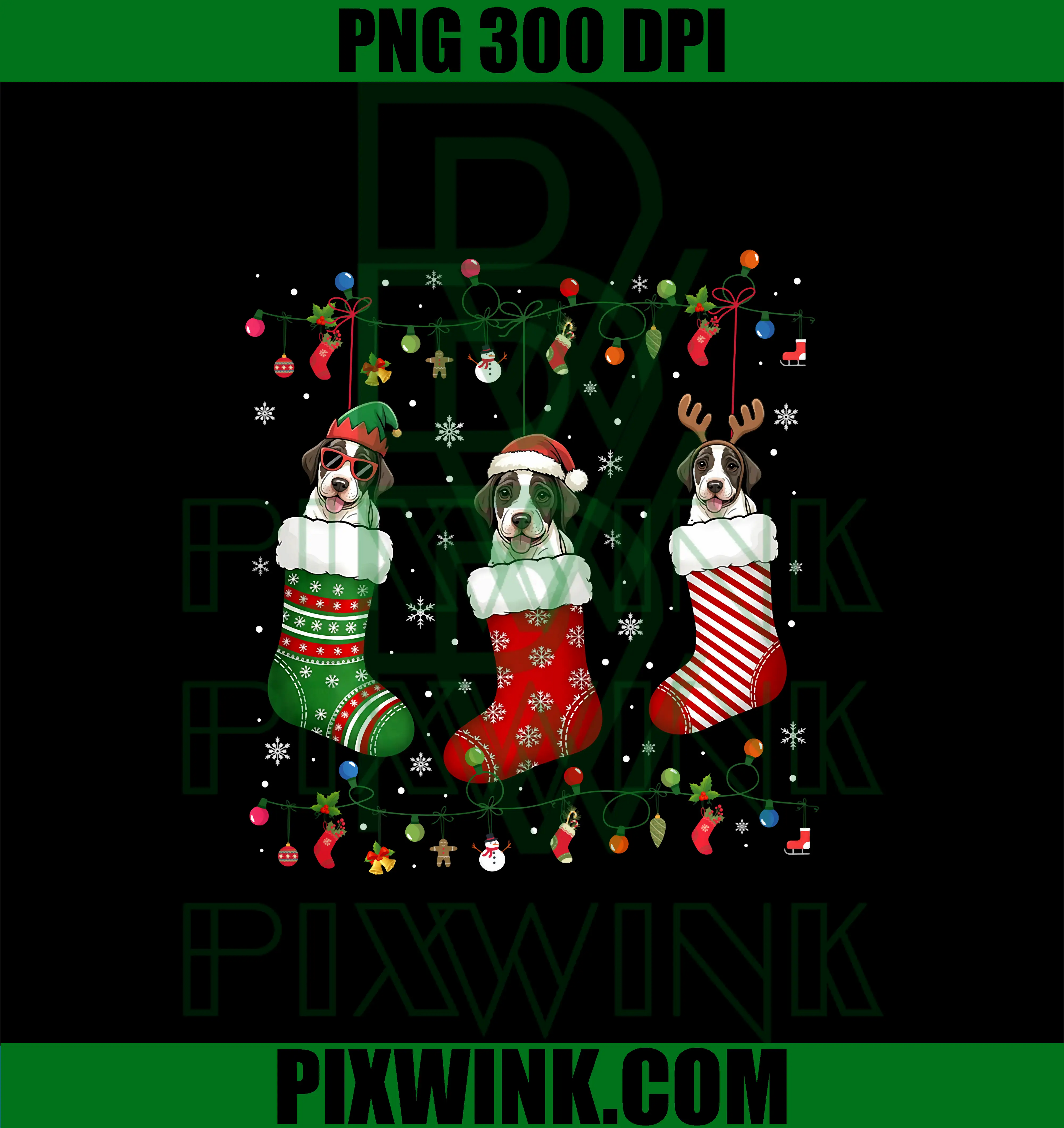 English Pointer Dog PNG, Christmas Socks PNG, Funny Xmas Dog PNG