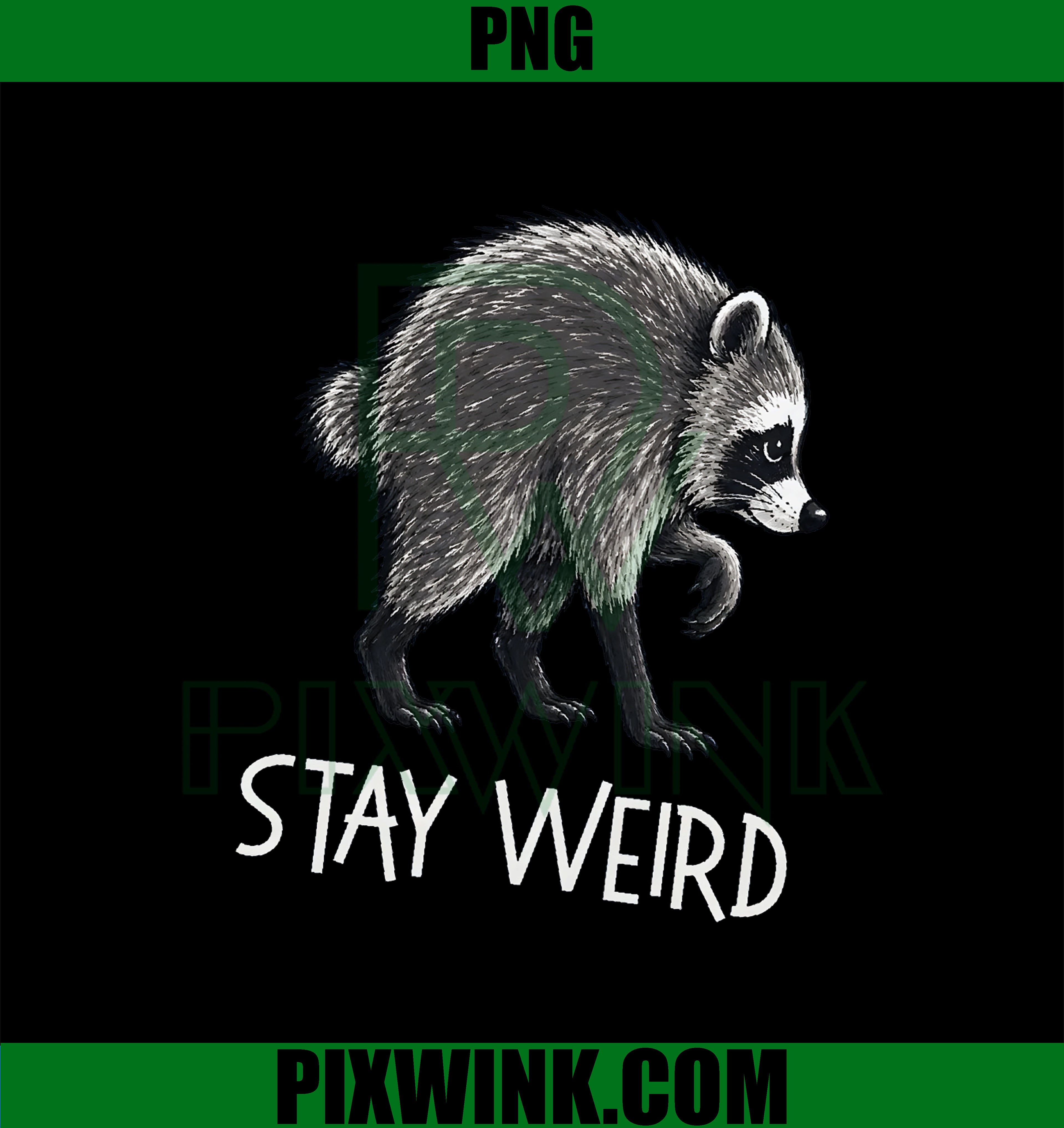 Jimothy Raccoon PNG, Seattle Short Spine Raccoon PNG