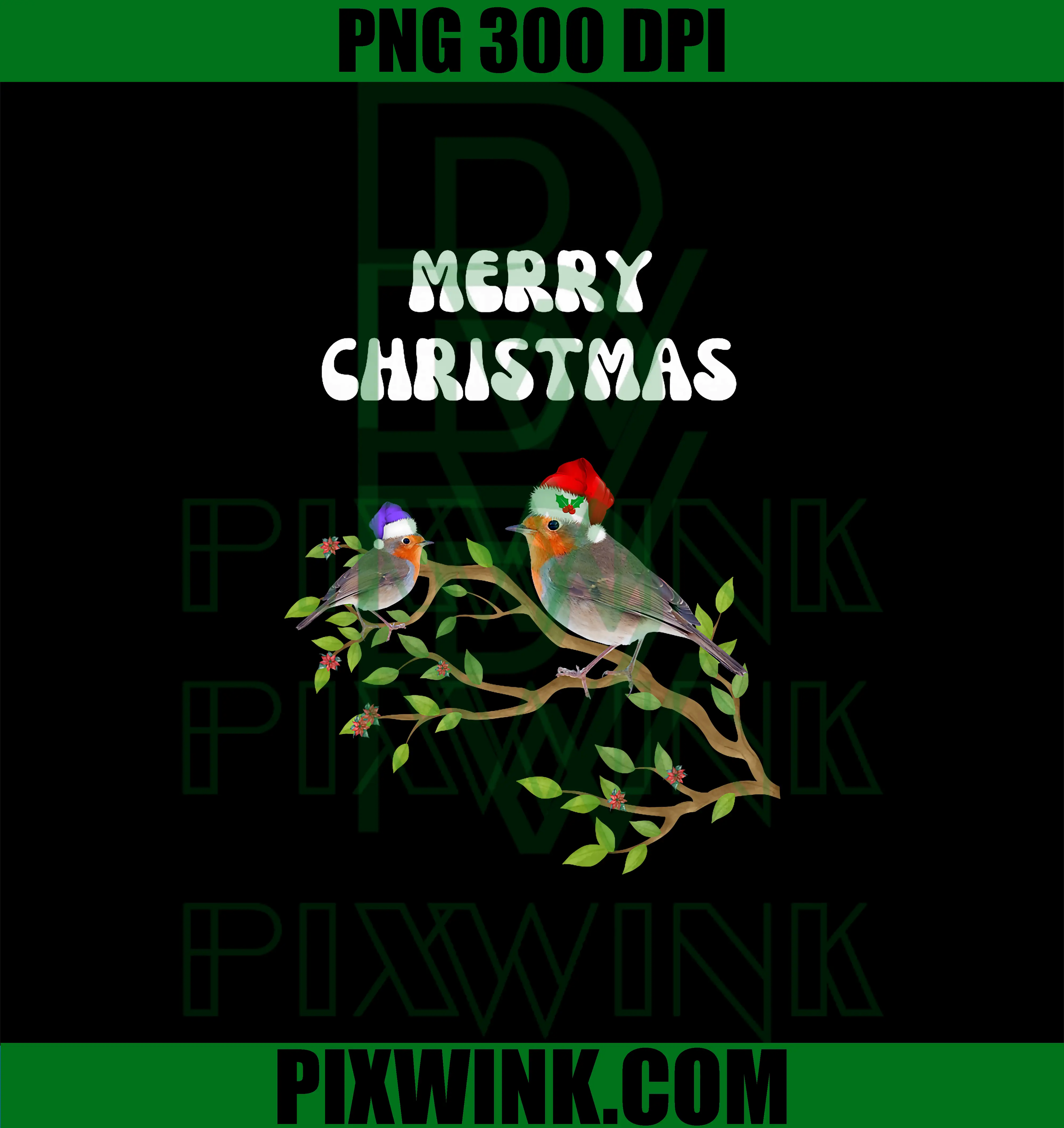 Robins Christmas Bird PNG, Lovers Present Cute PNG