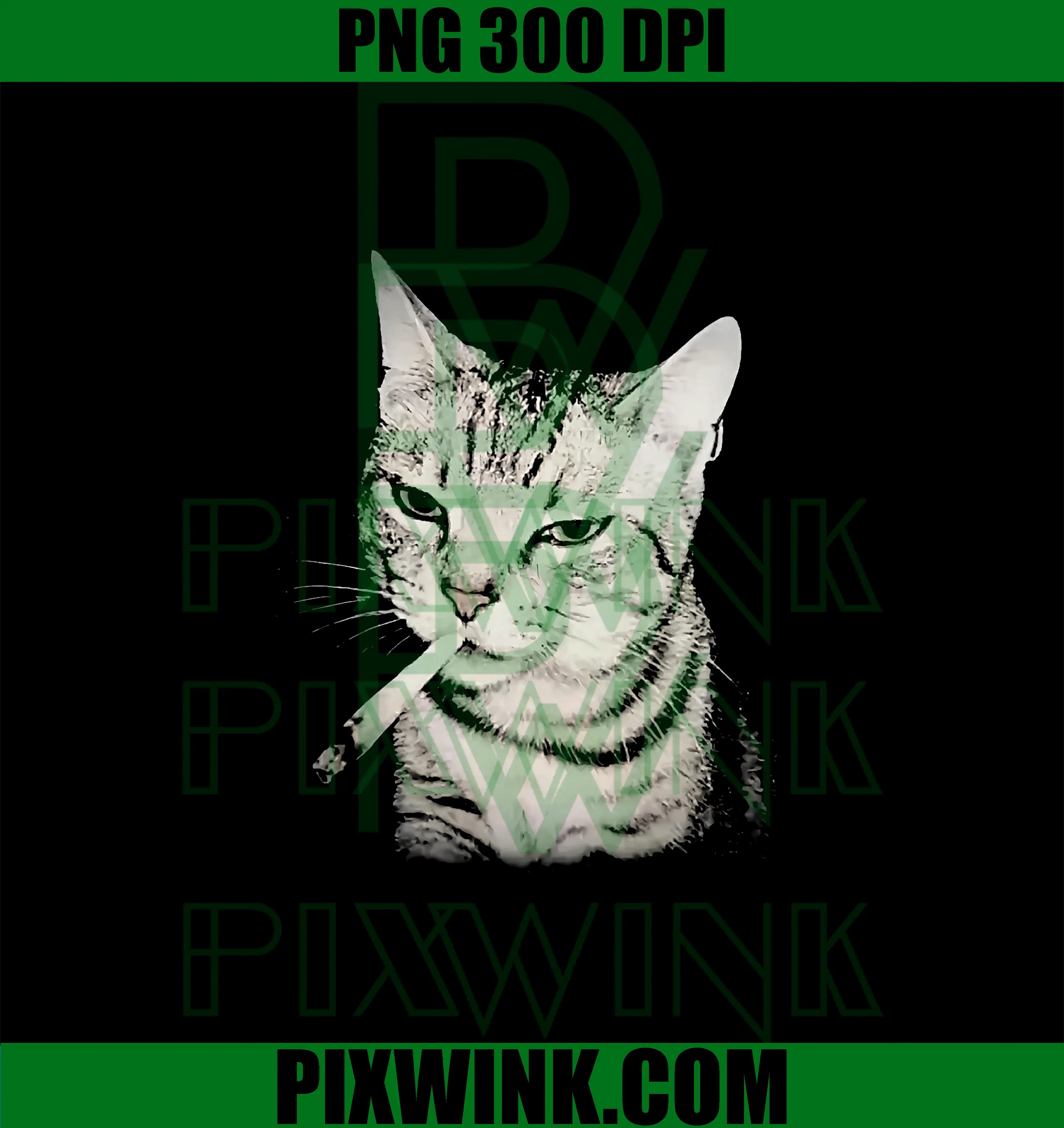 Vintage Smoking Cat PNG, Funny Grumpy Cat Meme PNG
