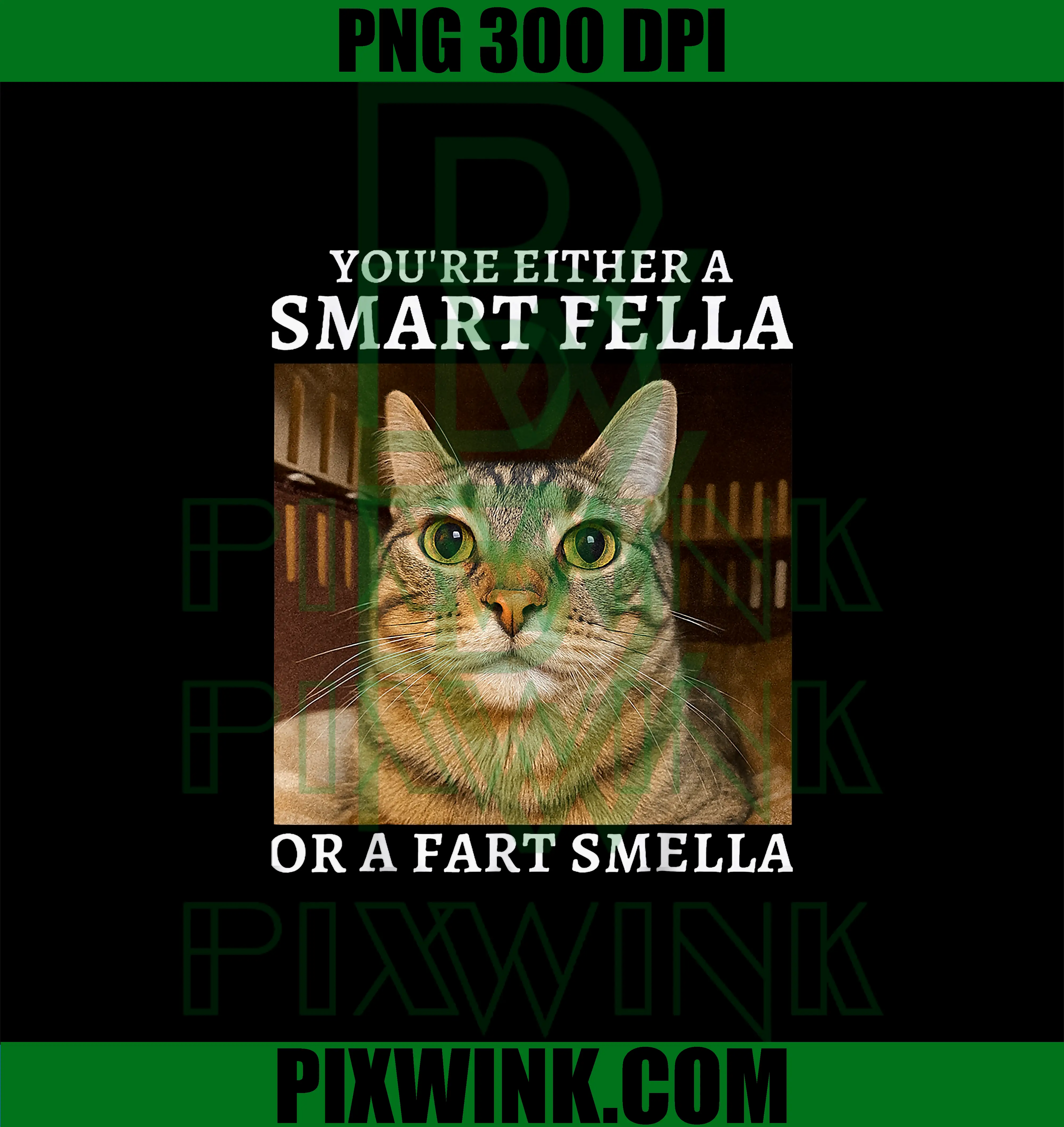 You're Either A Smart Fella Or A Fart Smella PNG, Funny Cat Humor PNG